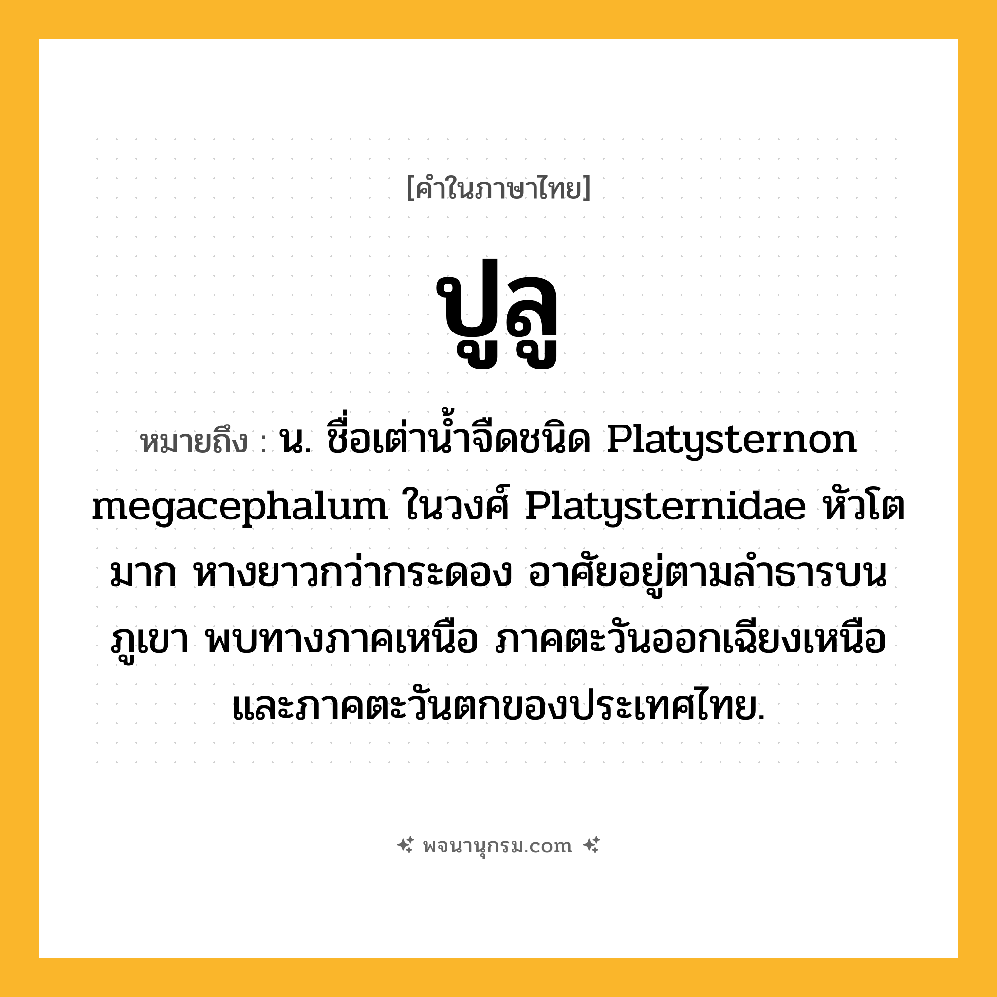 ปูลู ความหมาย หมายถึงอะไร?, คำในภาษาไทย ปูลู หมายถึง น. ชื่อเต่านํ้าจืดชนิด Platysternon megacephalum ในวงศ์ Platysternidae หัวโตมาก หางยาวกว่ากระดอง อาศัยอยู่ตามลําธารบนภูเขา พบทางภาคเหนือ ภาคตะวันออกเฉียงเหนือ และภาคตะวันตกของประเทศไทย.