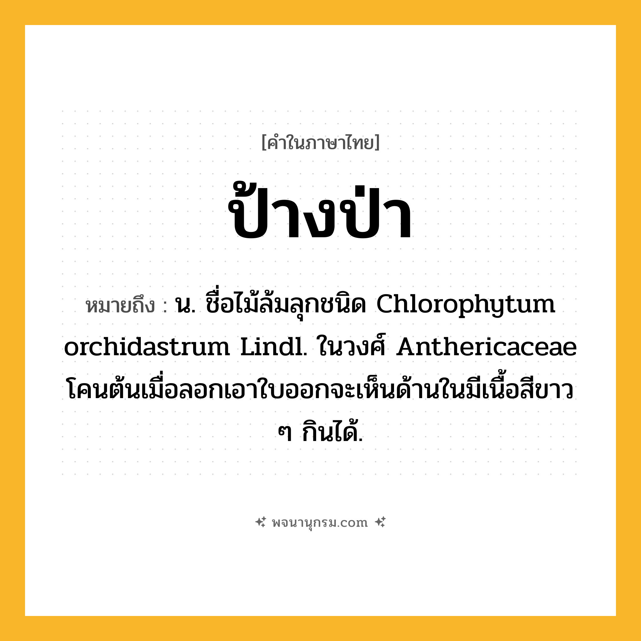 ป้างป่า ความหมาย หมายถึงอะไร?, คำในภาษาไทย ป้างป่า หมายถึง น. ชื่อไม้ล้มลุกชนิด Chlorophytum orchidastrum Lindl. ในวงศ์ Anthericaceae โคนต้นเมื่อลอกเอาใบออกจะเห็นด้านในมีเนื้อสีขาว ๆ กินได้.