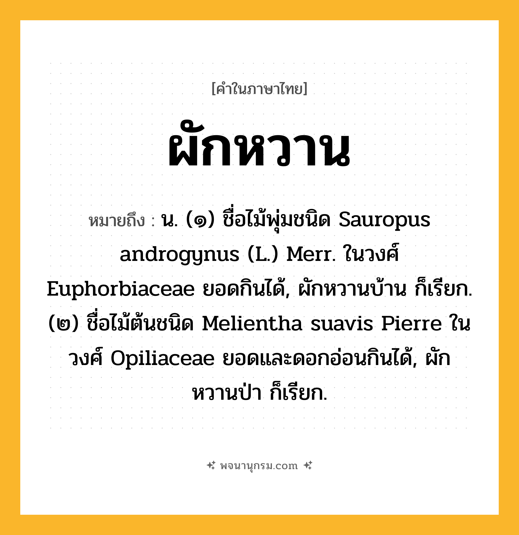ผักหวาน ความหมาย หมายถึงอะไร?, คำในภาษาไทย ผักหวาน หมายถึง น. (๑) ชื่อไม้พุ่มชนิด Sauropus androgynus (L.) Merr. ในวงศ์ Euphorbiaceae ยอดกินได้, ผักหวานบ้าน ก็เรียก. (๒) ชื่อไม้ต้นชนิด Melientha suavis Pierre ในวงศ์ Opiliaceae ยอดและดอกอ่อนกินได้, ผักหวานป่า ก็เรียก.