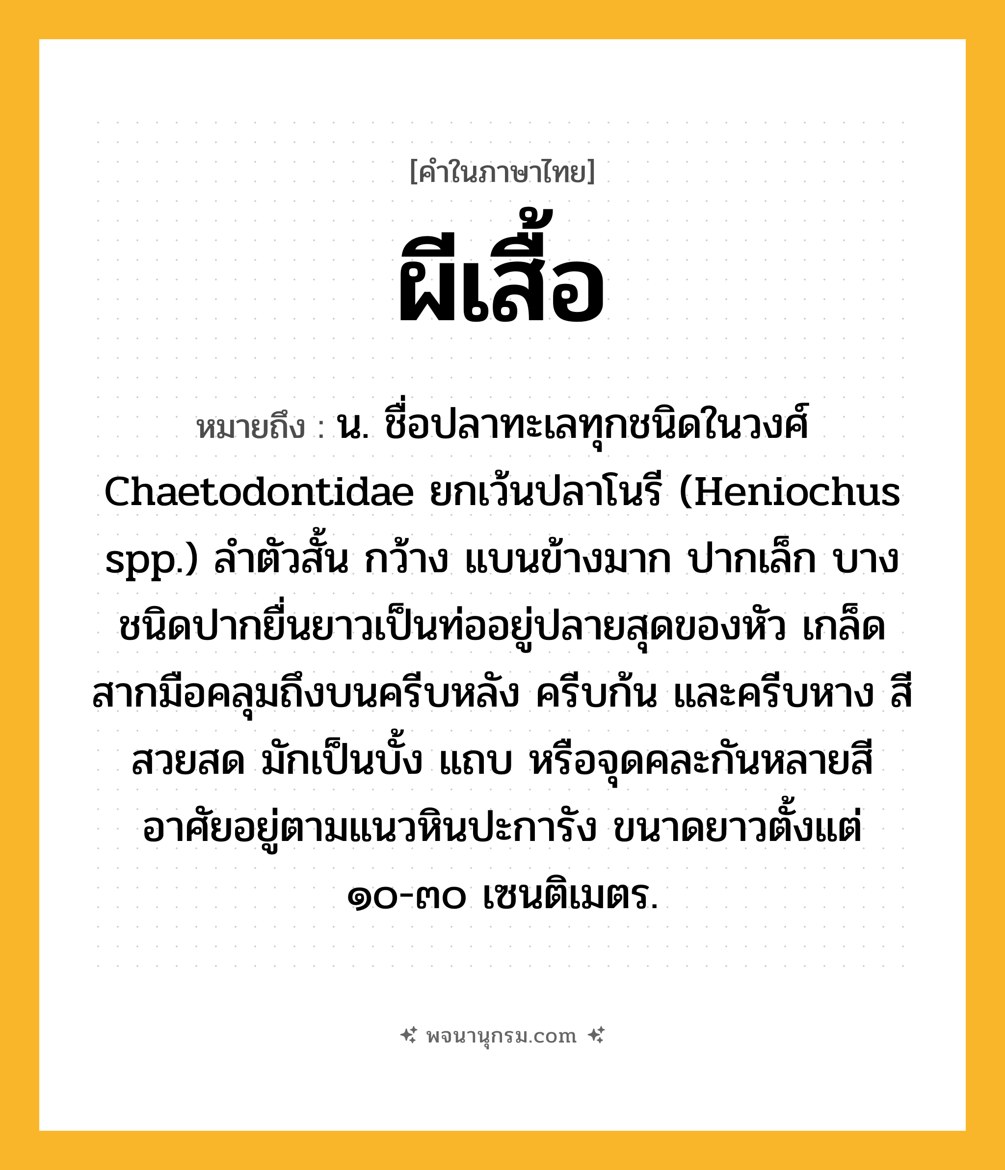 ผีเสื้อ ความหมาย หมายถึงอะไร?, คำในภาษาไทย ผีเสื้อ หมายถึง น. ชื่อปลาทะเลทุกชนิดในวงศ์ Chaetodontidae ยกเว้นปลาโนรี (Heniochus spp.) ลําตัวสั้น กว้าง แบนข้างมาก ปากเล็ก บางชนิดปากยื่นยาวเป็นท่ออยู่ปลายสุดของหัว เกล็ดสากมือคลุมถึงบนครีบหลัง ครีบก้น และครีบหาง สีสวยสด มักเป็นบั้ง แถบ หรือจุดคละกันหลายสี อาศัยอยู่ตามแนวหินปะการัง ขนาดยาวตั้งแต่ ๑๐-๓๐ เซนติเมตร.
