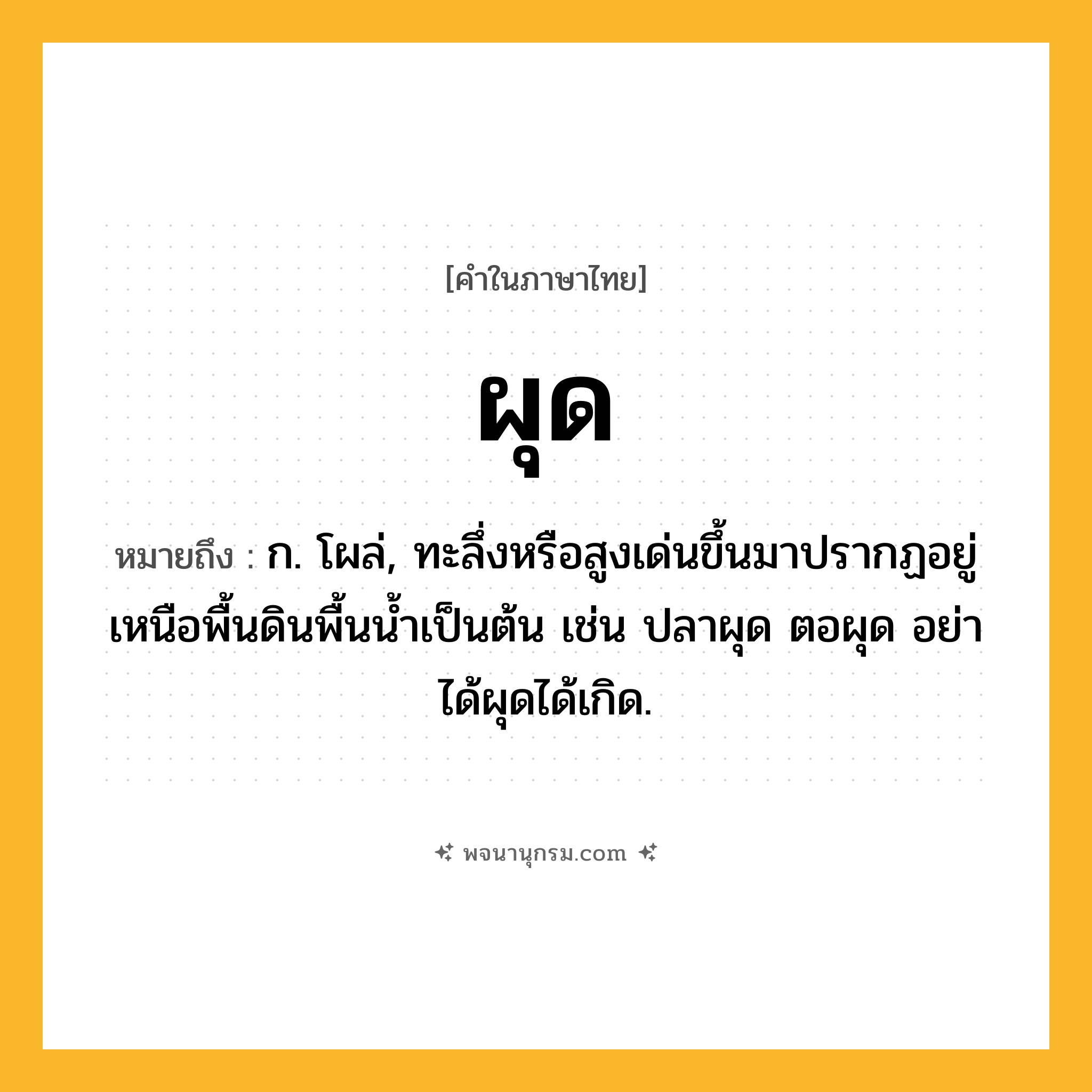 ผุด ความหมาย หมายถึงอะไร?, คำในภาษาไทย ผุด หมายถึง ก. โผล่, ทะลึ่งหรือสูงเด่นขึ้นมาปรากฏอยู่เหนือพื้นดินพื้นนํ้าเป็นต้น เช่น ปลาผุด ตอผุด อย่าได้ผุดได้เกิด.