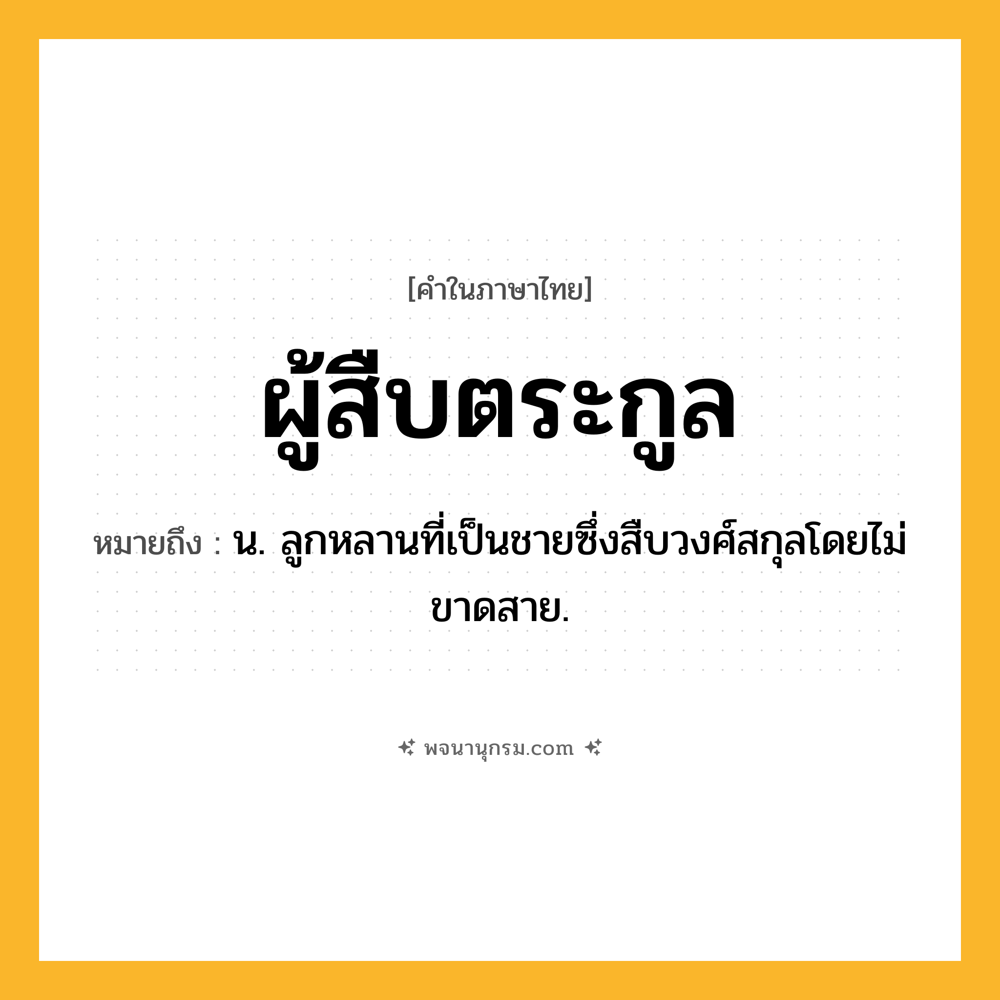 ผู้สืบตระกูล ความหมาย หมายถึงอะไร?, คำในภาษาไทย ผู้สืบตระกูล หมายถึง น. ลูกหลานที่เป็นชายซึ่งสืบวงศ์สกุลโดยไม่ขาดสาย.