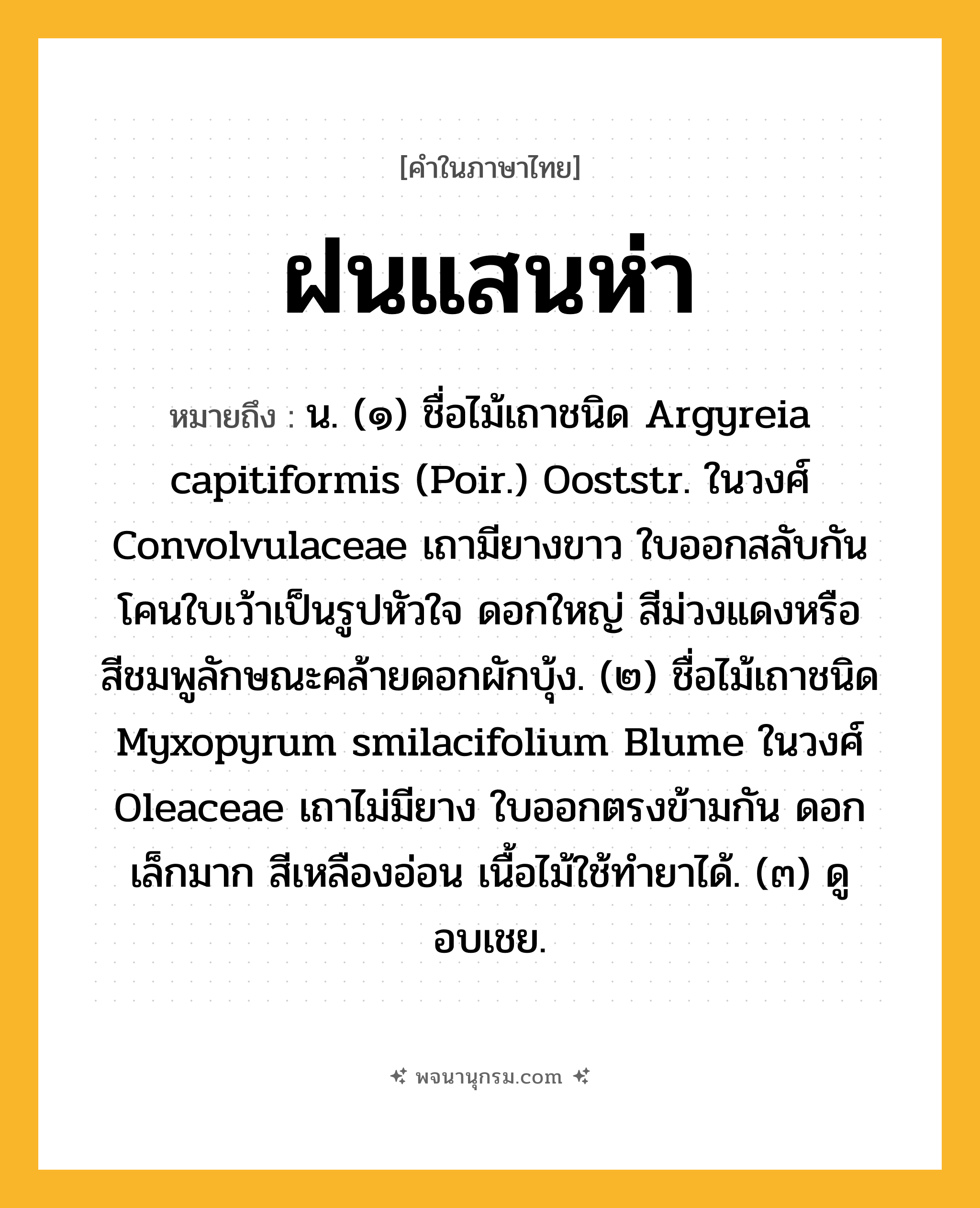 ฝนแสนห่า ความหมาย หมายถึงอะไร?, คำในภาษาไทย ฝนแสนห่า หมายถึง น. (๑) ชื่อไม้เถาชนิด Argyreia capitiformis (Poir.) Ooststr. ในวงศ์ Convolvulaceae เถามียางขาว ใบออกสลับกัน โคนใบเว้าเป็นรูปหัวใจ ดอกใหญ่ สีม่วงแดงหรือสีชมพูลักษณะคล้ายดอกผักบุ้ง. (๒) ชื่อไม้เถาชนิด Myxopyrum smilacifolium Blume ในวงศ์ Oleaceae เถาไม่มียาง ใบออกตรงข้ามกัน ดอกเล็กมาก สีเหลืองอ่อน เนื้อไม้ใช้ทํายาได้. (๓) ดู อบเชย.