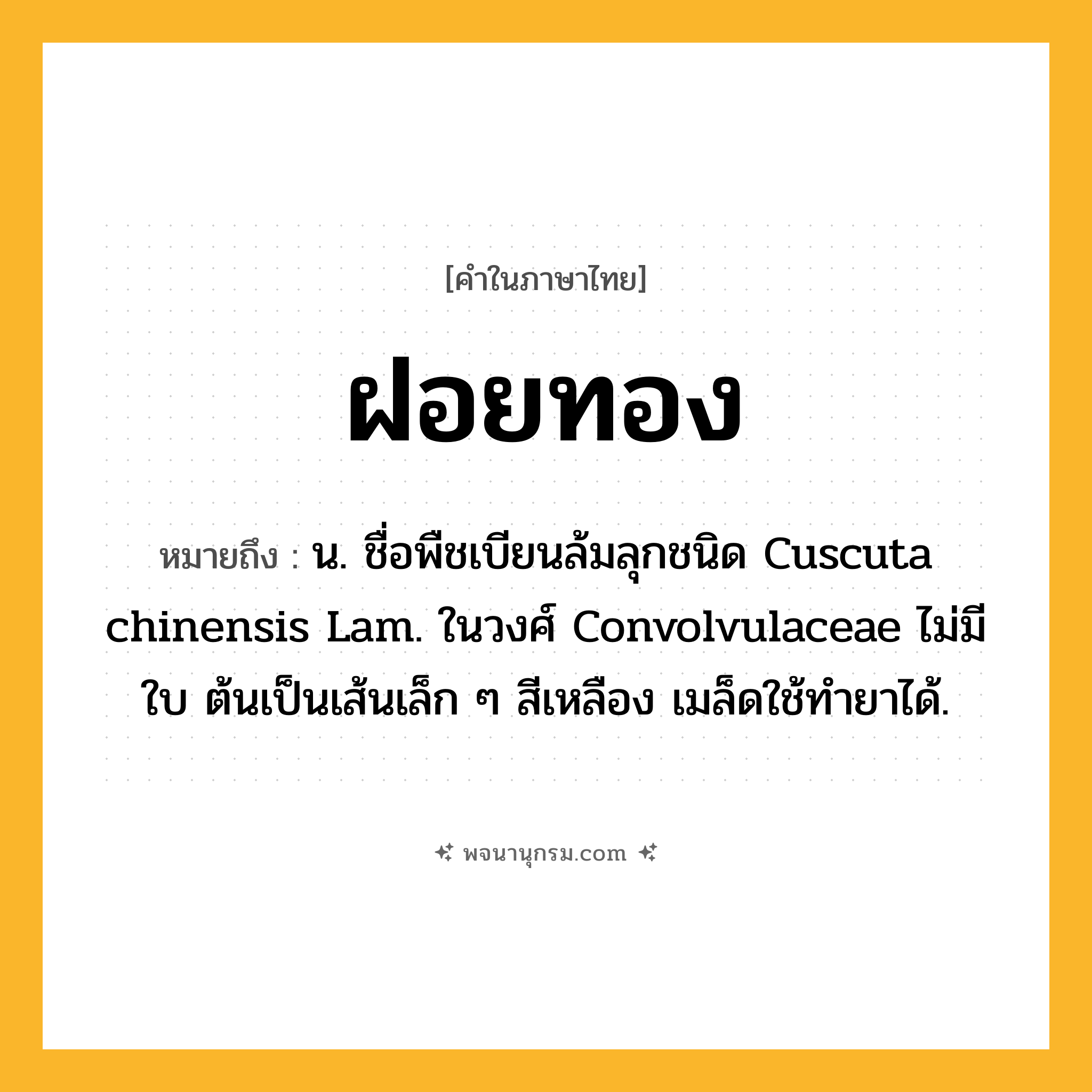 ฝอยทอง ความหมาย หมายถึงอะไร?, คำในภาษาไทย ฝอยทอง หมายถึง น. ชื่อพืชเบียนล้มลุกชนิด Cuscuta chinensis Lam. ในวงศ์ Convolvulaceae ไม่มีใบ ต้นเป็นเส้นเล็ก ๆ สีเหลือง เมล็ดใช้ทํายาได้.