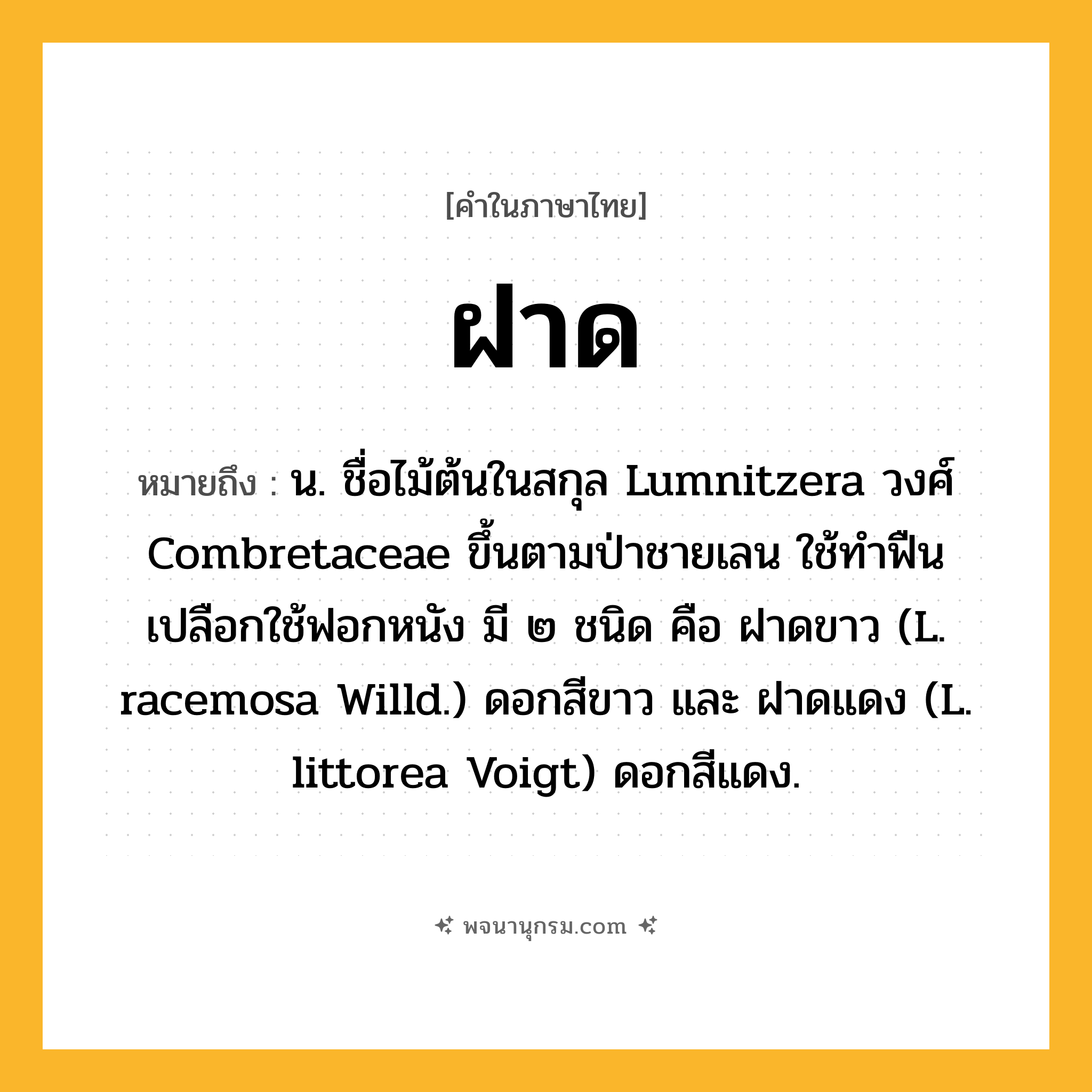 ฝาด ความหมาย หมายถึงอะไร?, คำในภาษาไทย ฝาด หมายถึง น. ชื่อไม้ต้นในสกุล Lumnitzera วงศ์ Combretaceae ขึ้นตามป่าชายเลน ใช้ทําฟืน เปลือกใช้ฟอกหนัง มี ๒ ชนิด คือ ฝาดขาว (L. racemosa Willd.) ดอกสีขาว และ ฝาดแดง (L. littorea Voigt) ดอกสีแดง.
