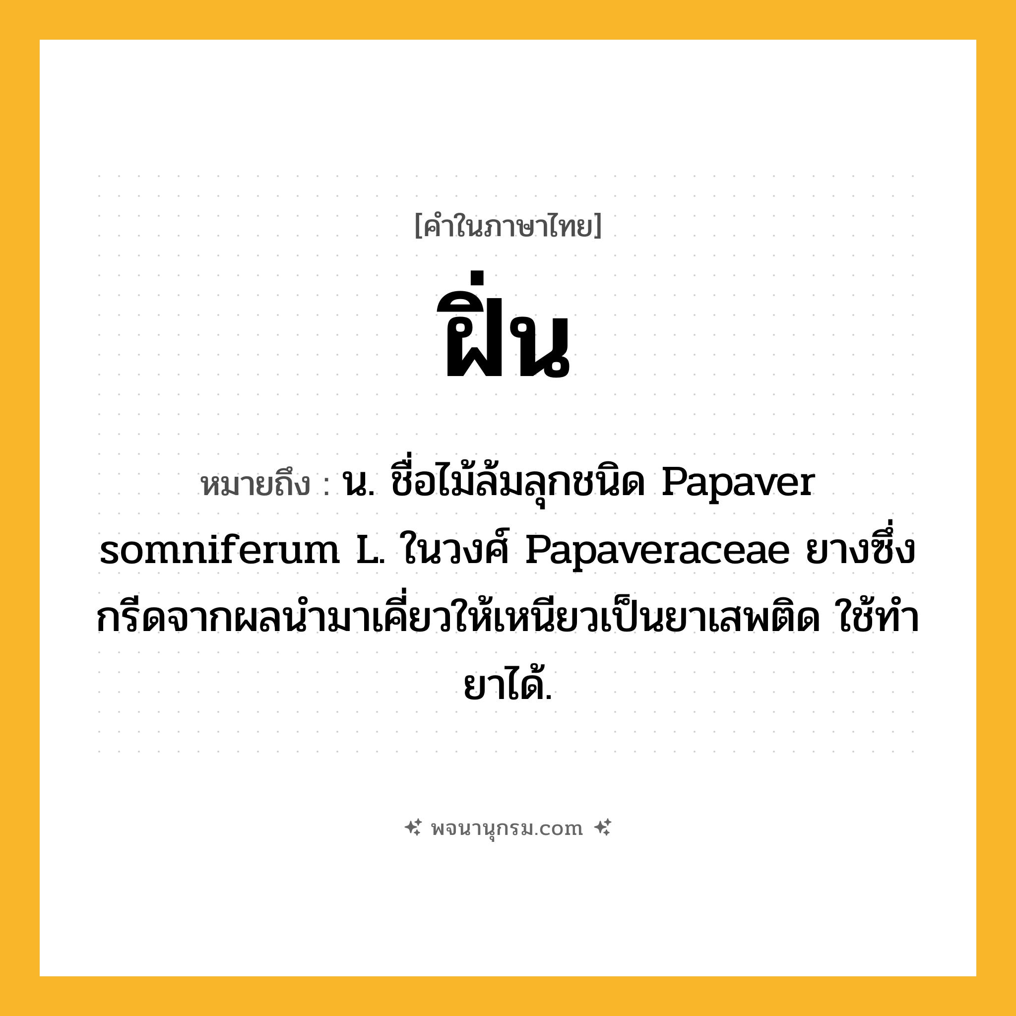 ฝิ่น ความหมาย หมายถึงอะไร?, คำในภาษาไทย ฝิ่น หมายถึง น. ชื่อไม้ล้มลุกชนิด Papaver somniferum L. ในวงศ์ Papaveraceae ยางซึ่งกรีดจากผลนํามาเคี่ยวให้เหนียวเป็นยาเสพติด ใช้ทํายาได้.