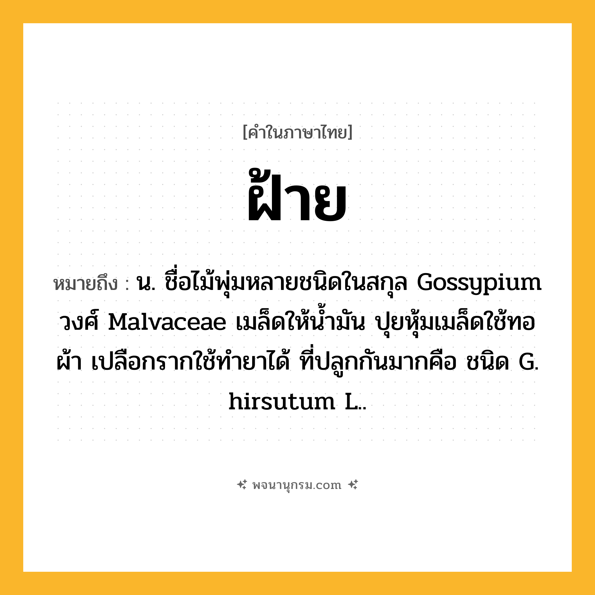 ฝ้าย ความหมาย หมายถึงอะไร?, คำในภาษาไทย ฝ้าย หมายถึง น. ชื่อไม้พุ่มหลายชนิดในสกุล Gossypium วงศ์ Malvaceae เมล็ดให้นํ้ามัน ปุยหุ้มเมล็ดใช้ทอผ้า เปลือกรากใช้ทํายาได้ ที่ปลูกกันมากคือ ชนิด G. hirsutum L..