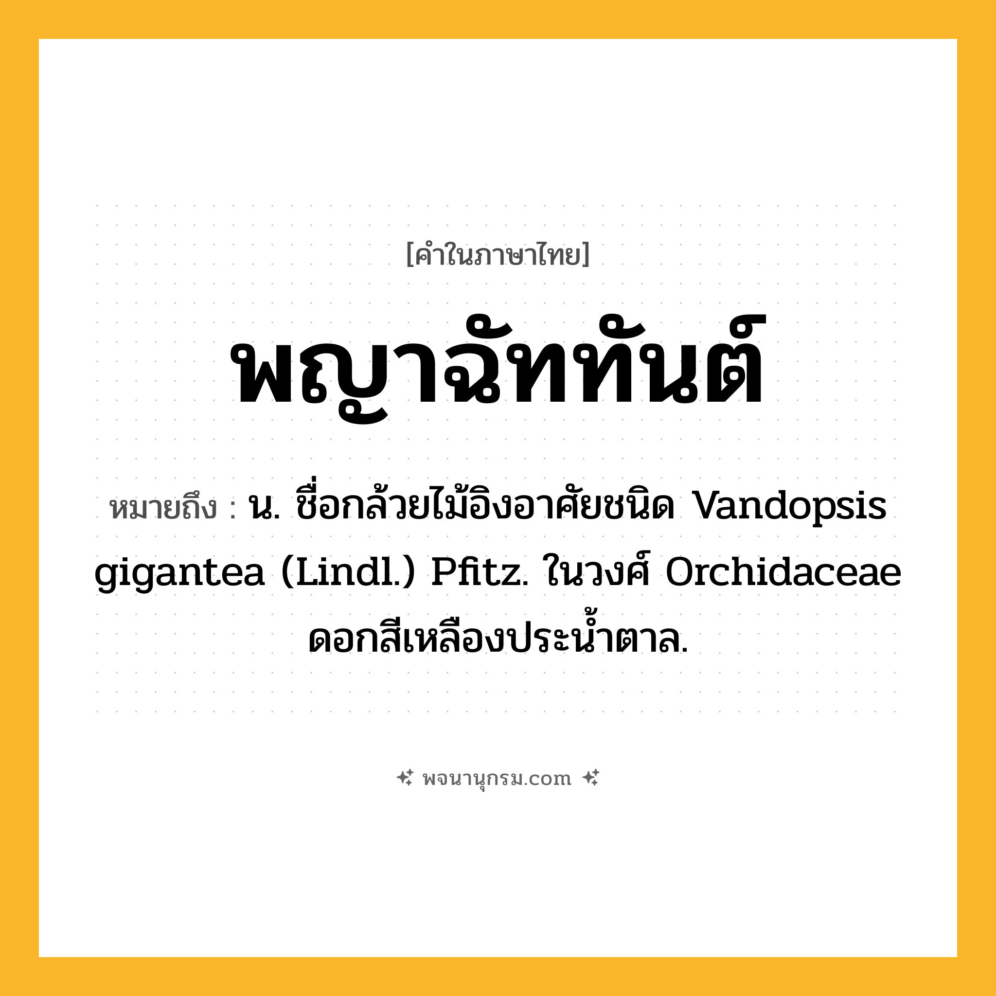 พญาฉัททันต์ ความหมาย หมายถึงอะไร?, คำในภาษาไทย พญาฉัททันต์ หมายถึง น. ชื่อกล้วยไม้อิงอาศัยชนิด Vandopsis gigantea (Lindl.) Pfitz. ในวงศ์ Orchidaceae ดอกสีเหลืองประนํ้าตาล.
