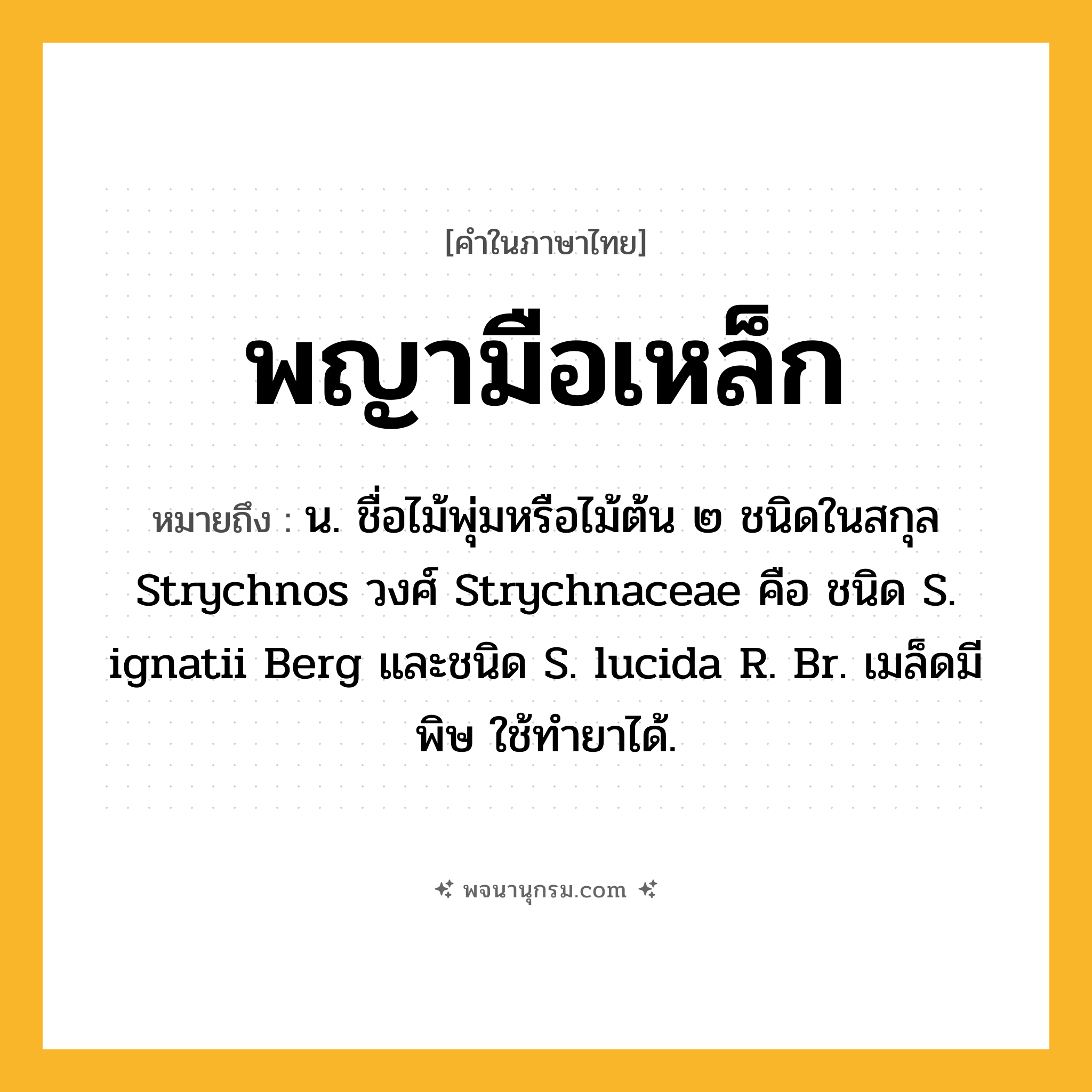พญามือเหล็ก ความหมาย หมายถึงอะไร?, คำในภาษาไทย พญามือเหล็ก หมายถึง น. ชื่อไม้พุ่มหรือไม้ต้น ๒ ชนิดในสกุล Strychnos วงศ์ Strychnaceae คือ ชนิด S. ignatii Berg และชนิด S. lucida R. Br. เมล็ดมีพิษ ใช้ทํายาได้.
