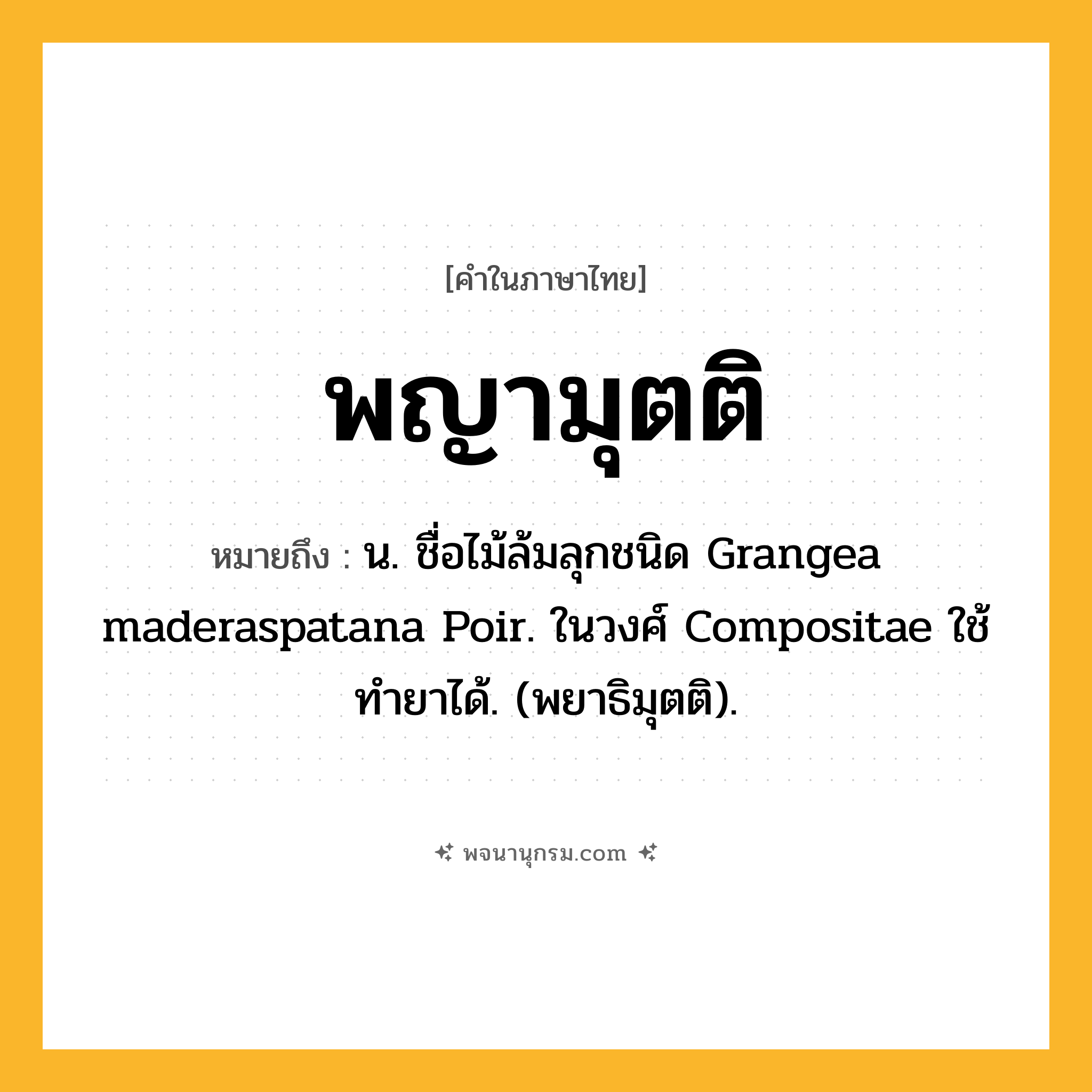 พญามุตติ ความหมาย หมายถึงอะไร?, คำในภาษาไทย พญามุตติ หมายถึง น. ชื่อไม้ล้มลุกชนิด Grangea maderaspatana Poir. ในวงศ์ Compositae ใช้ทํายาได้. (พยาธิมุตติ).