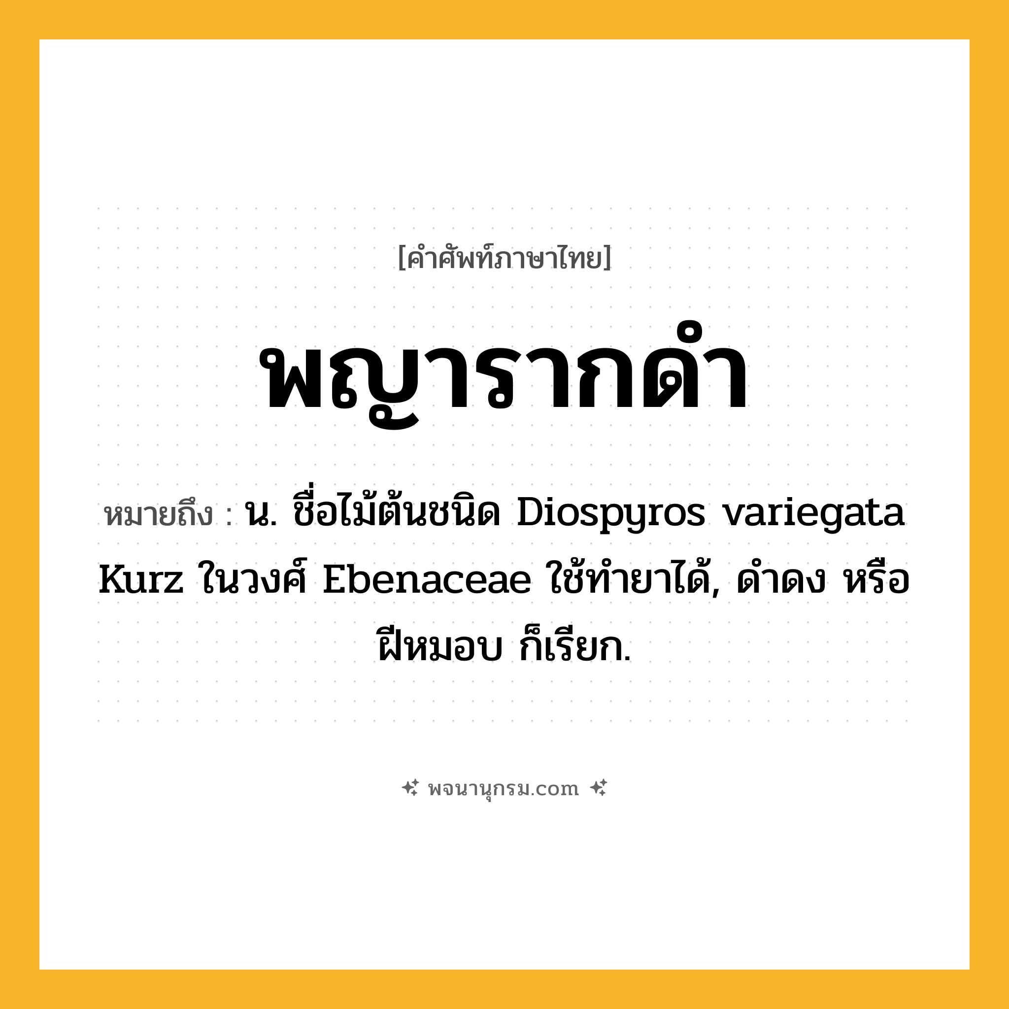 พญารากดำ ความหมาย หมายถึงอะไร?, คำในภาษาไทย พญารากดำ หมายถึง น. ชื่อไม้ต้นชนิด Diospyros variegata Kurz ในวงศ์ Ebenaceae ใช้ทํายาได้, ดําดง หรือ ฝีหมอบ ก็เรียก.
