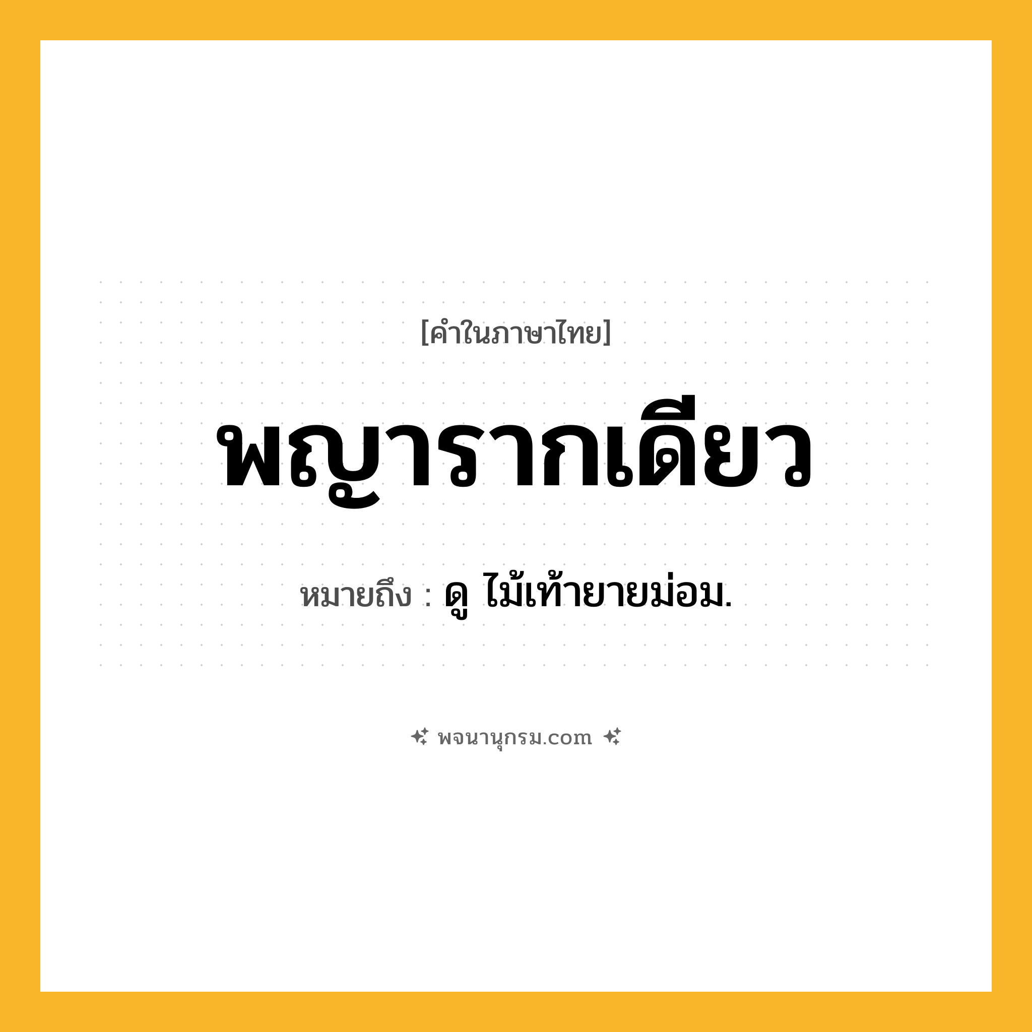 พญารากเดียว ความหมาย หมายถึงอะไร?, คำในภาษาไทย พญารากเดียว หมายถึง ดู ไม้เท้ายายม่อม.