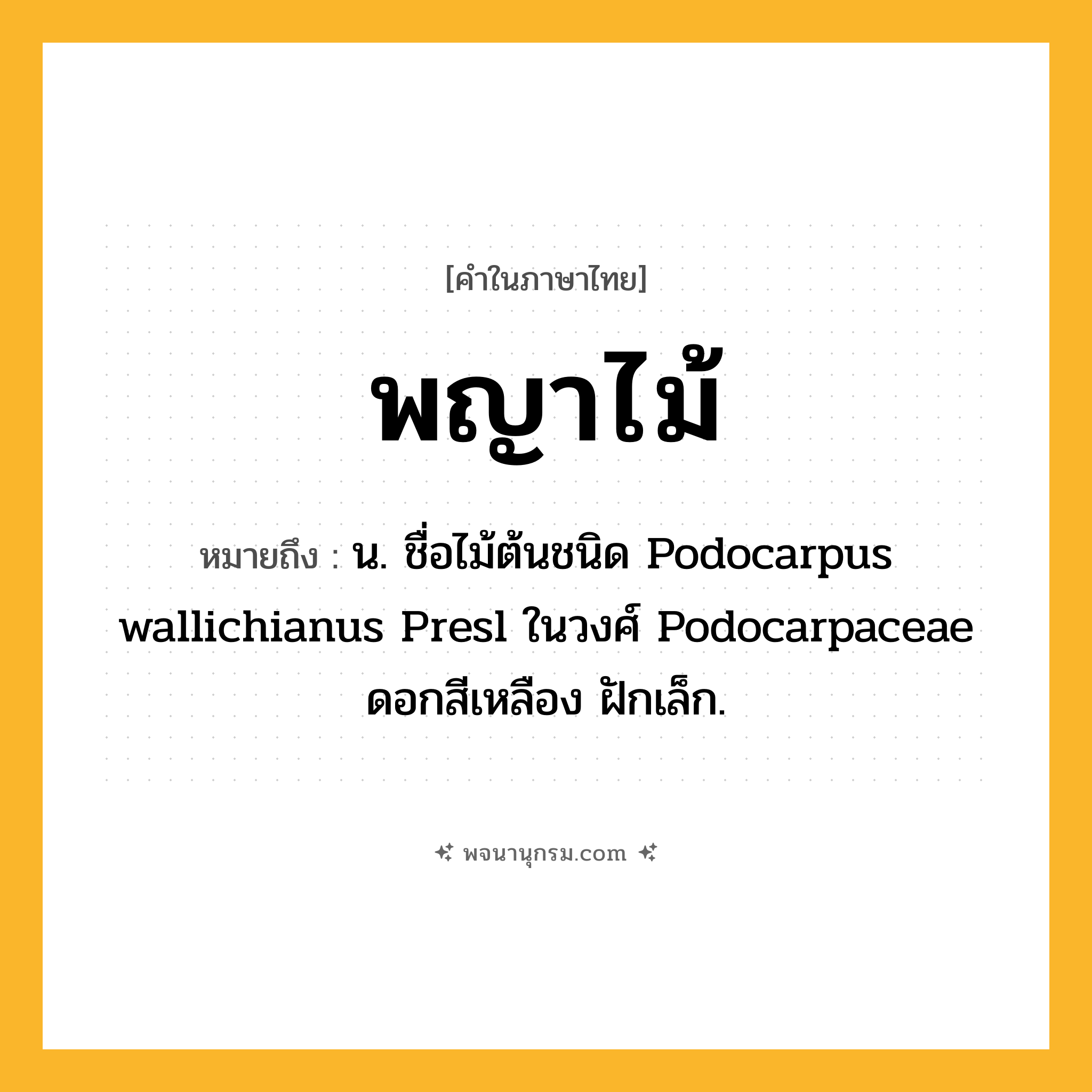 พญาไม้ ความหมาย หมายถึงอะไร?, คำในภาษาไทย พญาไม้ หมายถึง น. ชื่อไม้ต้นชนิด Podocarpus wallichianus Presl ในวงศ์ Podocarpaceae ดอกสีเหลือง ฝักเล็ก.
