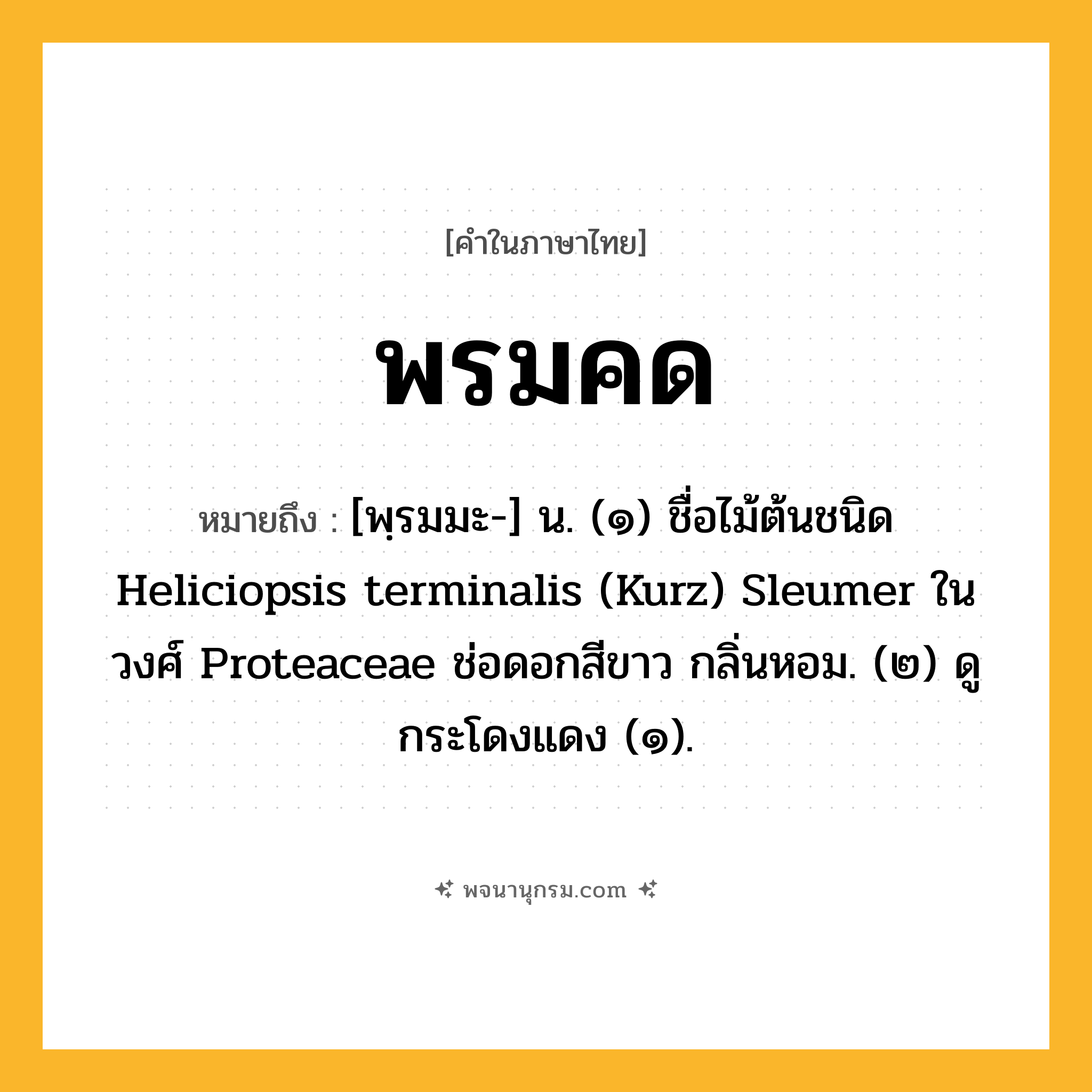 พรมคด ความหมาย หมายถึงอะไร?, คำในภาษาไทย พรมคด หมายถึง [พฺรมมะ-] น. (๑) ชื่อไม้ต้นชนิด Heliciopsis terminalis (Kurz) Sleumer ในวงศ์ Proteaceae ช่อดอกสีขาว กลิ่นหอม. (๒) ดู กระโดงแดง (๑).