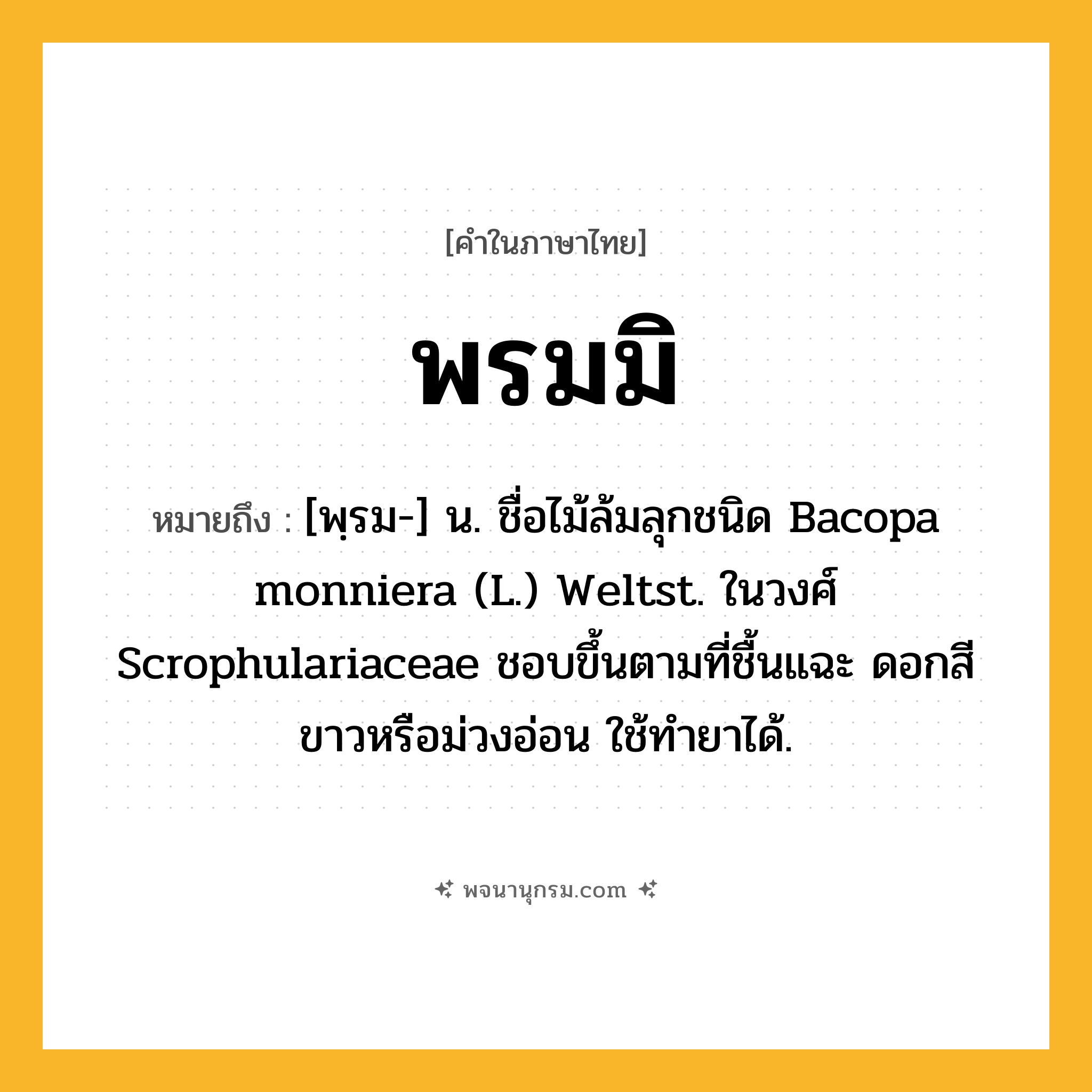 พรมมิ ความหมาย หมายถึงอะไร?, คำในภาษาไทย พรมมิ หมายถึง [พฺรม-] น. ชื่อไม้ล้มลุกชนิด Bacopa monniera (L.) Weltst. ในวงศ์ Scrophulariaceae ชอบขึ้นตามที่ชื้นแฉะ ดอกสีขาวหรือม่วงอ่อน ใช้ทํายาได้.
