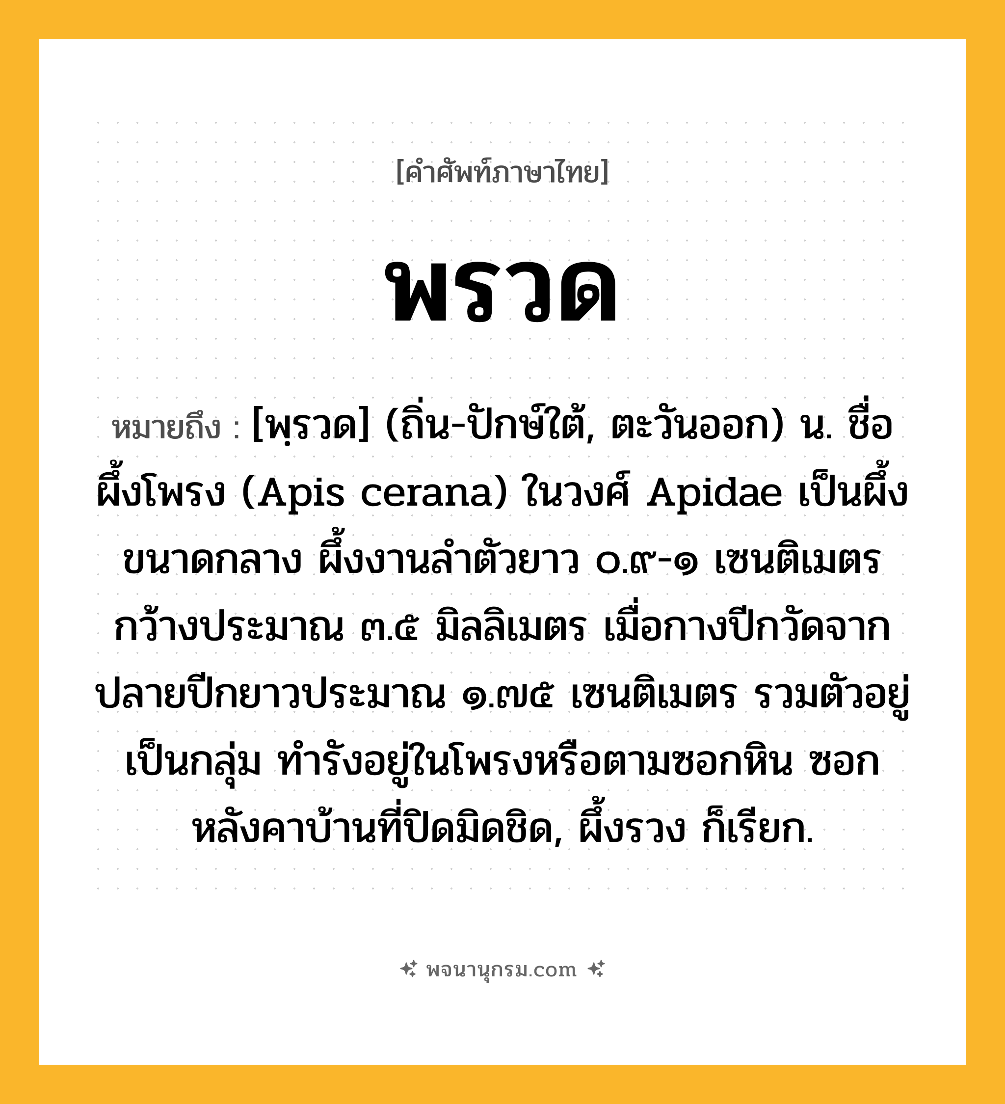 พรวด ความหมาย หมายถึงอะไร?, คำในภาษาไทย พรวด หมายถึง [พฺรวด] (ถิ่น-ปักษ์ใต้, ตะวันออก) น. ชื่อผึ้งโพรง (Apis cerana) ในวงศ์ Apidae เป็นผึ้งขนาดกลาง ผึ้งงานลําตัวยาว ๐.๙-๑ เซนติเมตร กว้างประมาณ ๓.๕ มิลลิเมตร เมื่อกางปีกวัดจากปลายปีกยาวประมาณ ๑.๗๕ เซนติเมตร รวมตัวอยู่เป็นกลุ่ม ทํารังอยู่ในโพรงหรือตามซอกหิน ซอกหลังคาบ้านที่ปิดมิดชิด, ผึ้งรวง ก็เรียก.
