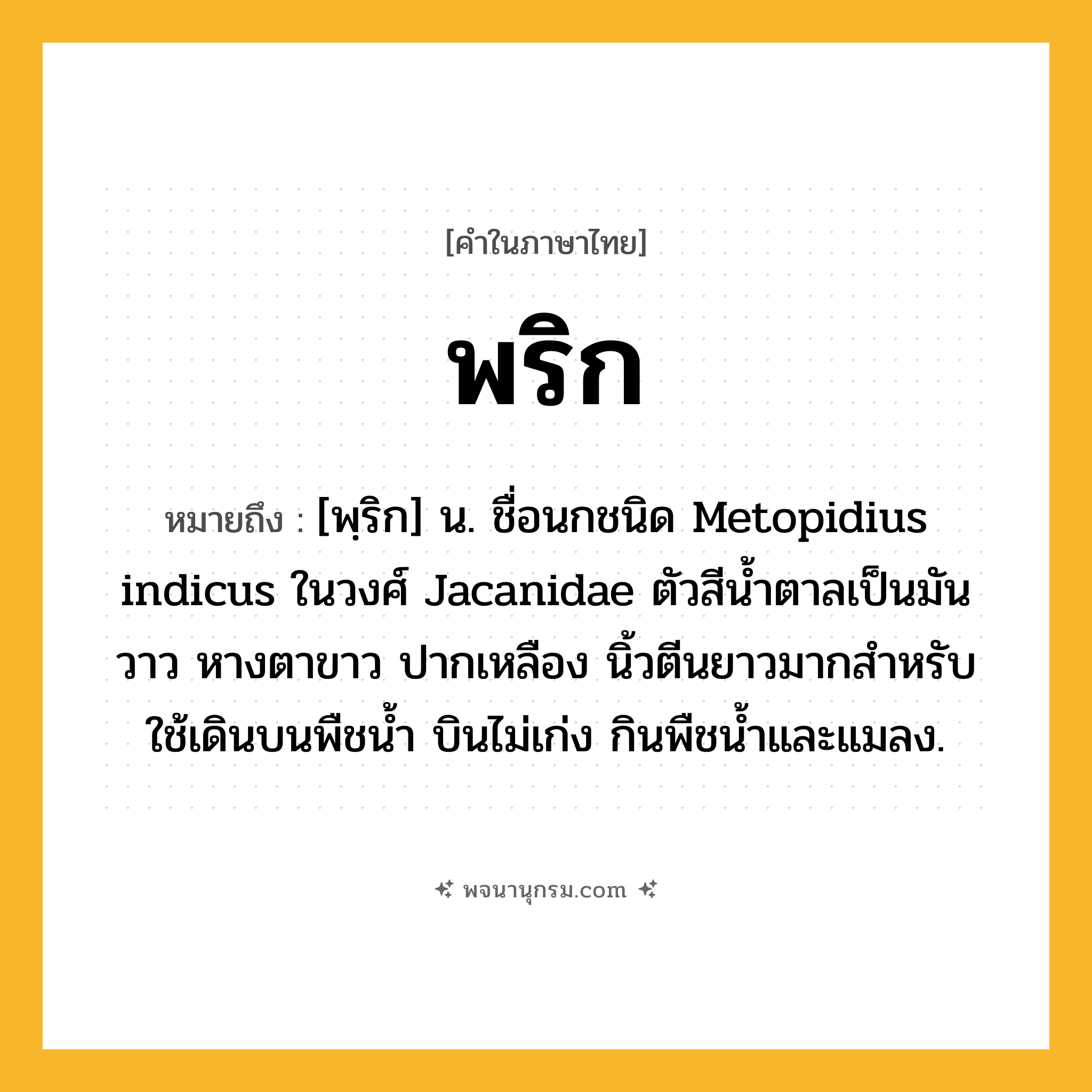 พริก ความหมาย หมายถึงอะไร?, คำในภาษาไทย พริก หมายถึง [พฺริก] น. ชื่อนกชนิด Metopidius indicus ในวงศ์ Jacanidae ตัวสีนํ้าตาลเป็นมันวาว หางตาขาว ปากเหลือง นิ้วตีนยาวมากสําหรับใช้เดินบนพืชนํ้า บินไม่เก่ง กินพืชนํ้าและแมลง.