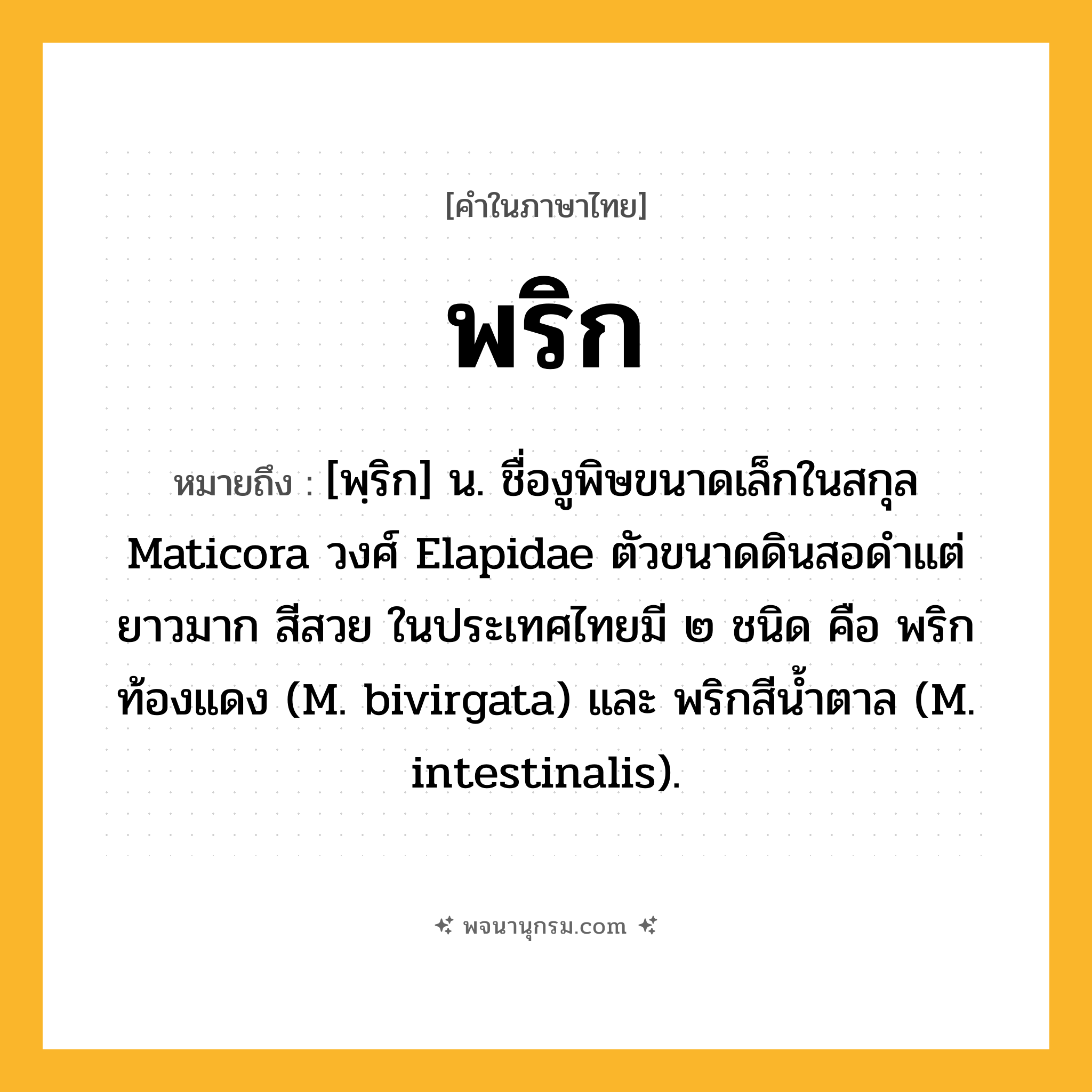 พริก ความหมาย หมายถึงอะไร?, คำในภาษาไทย พริก หมายถึง [พฺริก] น. ชื่องูพิษขนาดเล็กในสกุล Maticora วงศ์ Elapidae ตัวขนาดดินสอดําแต่ยาวมาก สีสวย ในประเทศไทยมี ๒ ชนิด คือ พริกท้องแดง (M. bivirgata) และ พริกสีนํ้าตาล (M. intestinalis).