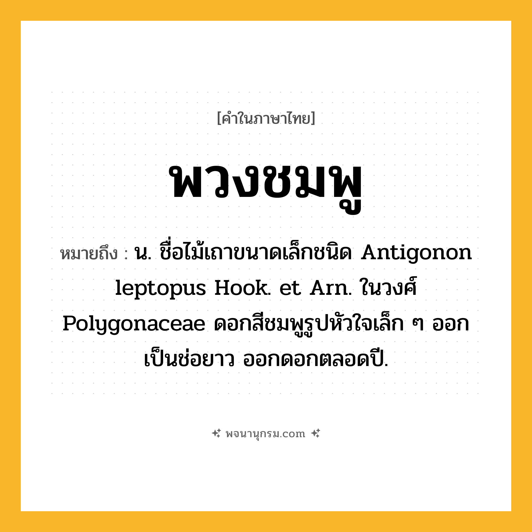 พวงชมพู ความหมาย หมายถึงอะไร?, คำในภาษาไทย พวงชมพู หมายถึง น. ชื่อไม้เถาขนาดเล็กชนิด Antigonon leptopus Hook. et Arn. ในวงศ์ Polygonaceae ดอกสีชมพูรูปหัวใจเล็ก ๆ ออกเป็นช่อยาว ออกดอกตลอดปี.