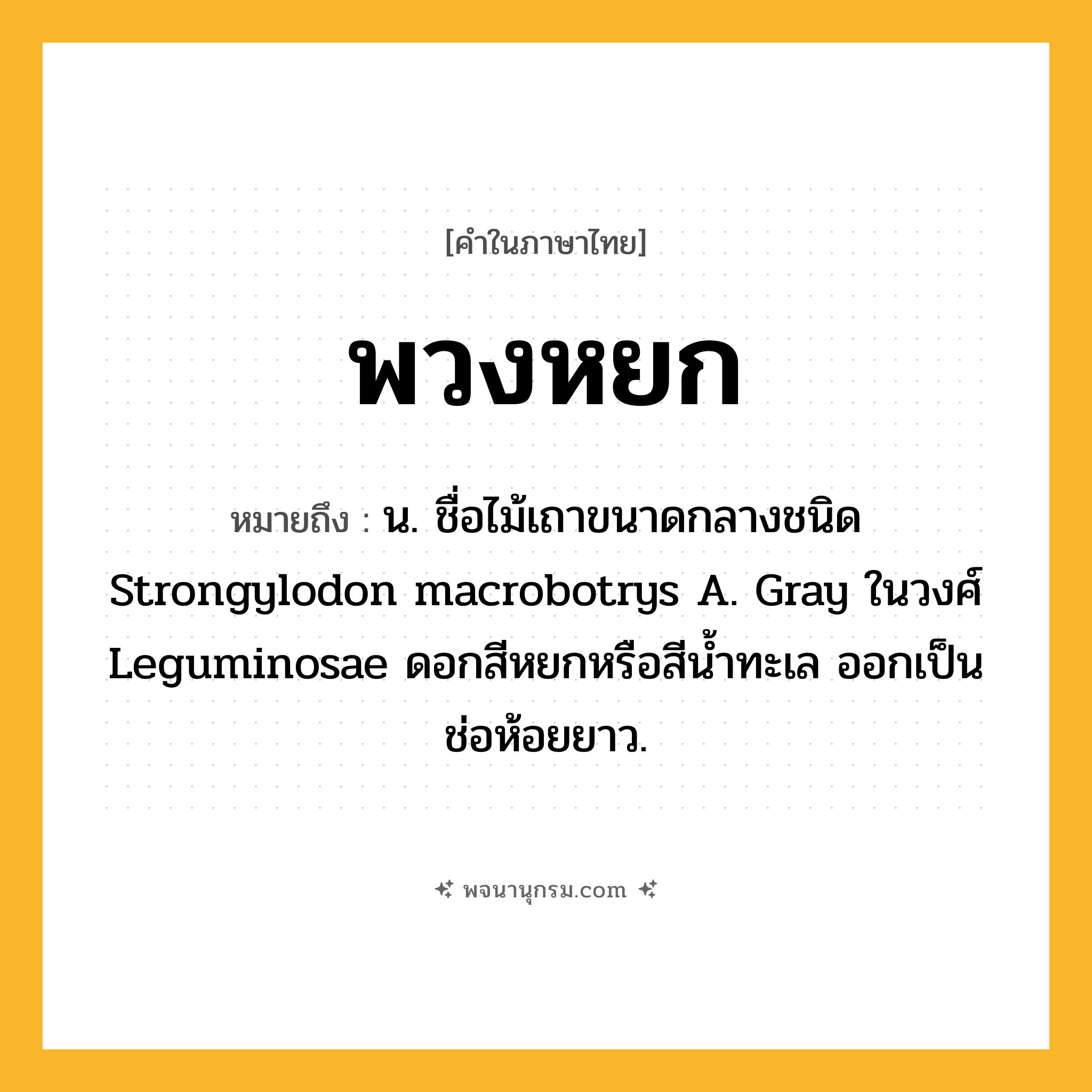 พวงหยก ความหมาย หมายถึงอะไร?, คำในภาษาไทย พวงหยก หมายถึง น. ชื่อไม้เถาขนาดกลางชนิด Strongylodon macrobotrys A. Gray ในวงศ์ Leguminosae ดอกสีหยกหรือสีนํ้าทะเล ออกเป็นช่อห้อยยาว.