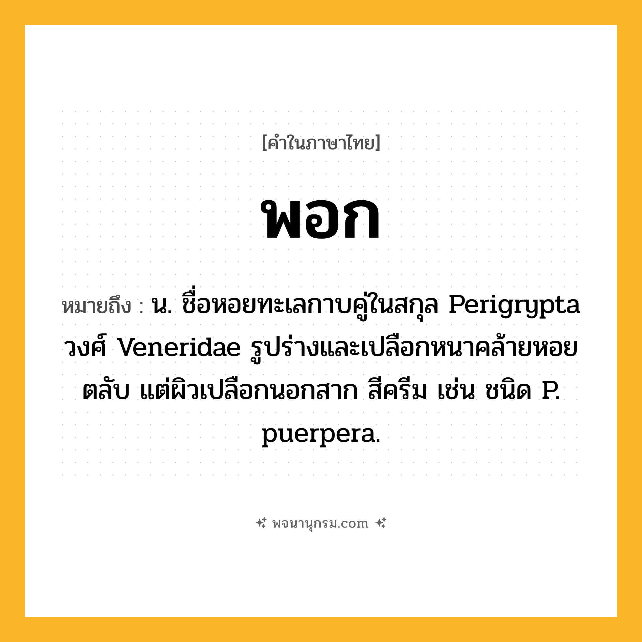 พอก ความหมาย หมายถึงอะไร?, คำในภาษาไทย พอก หมายถึง น. ชื่อหอยทะเลกาบคู่ในสกุล Perigrypta วงศ์ Veneridae รูปร่างและเปลือกหนาคล้ายหอยตลับ แต่ผิวเปลือกนอกสาก สีครีม เช่น ชนิด P. puerpera.