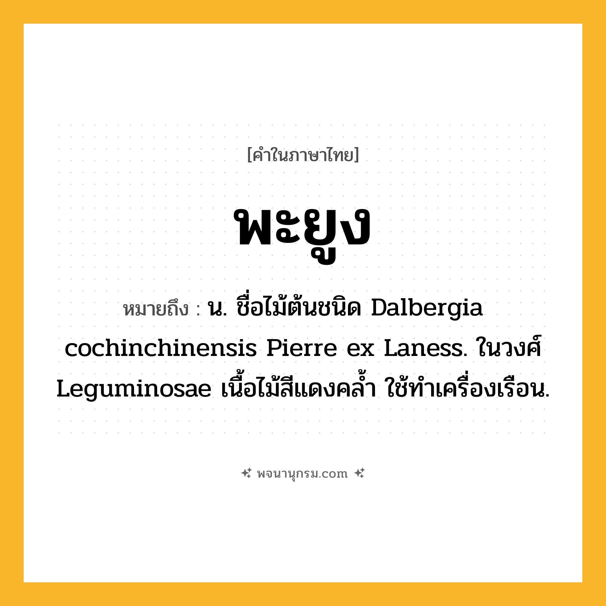 พะยูง ความหมาย หมายถึงอะไร?, คำในภาษาไทย พะยูง หมายถึง น. ชื่อไม้ต้นชนิด Dalbergia cochinchinensis Pierre ex Laness. ในวงศ์ Leguminosae เนื้อไม้สีแดงคลํ้า ใช้ทําเครื่องเรือน.