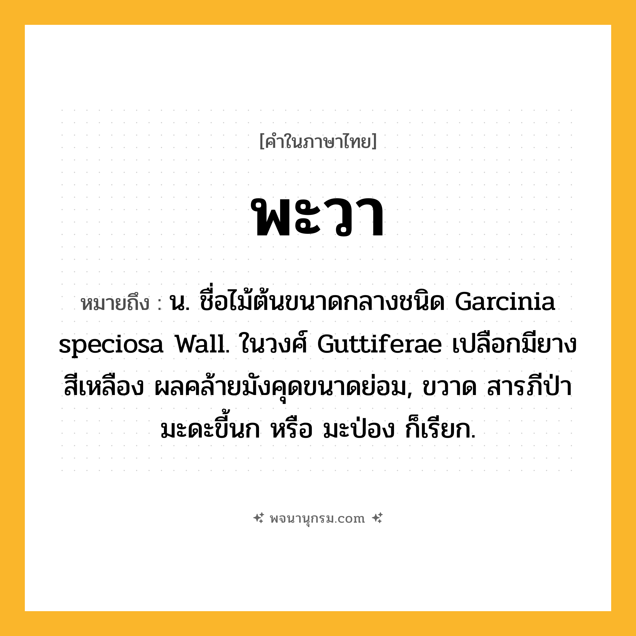 พะวา ความหมาย หมายถึงอะไร?, คำในภาษาไทย พะวา หมายถึง น. ชื่อไม้ต้นขนาดกลางชนิด Garcinia speciosa Wall. ในวงศ์ Guttiferae เปลือกมียางสีเหลือง ผลคล้ายมังคุดขนาดย่อม, ขวาด สารภีป่า มะดะขี้นก หรือ มะป่อง ก็เรียก.