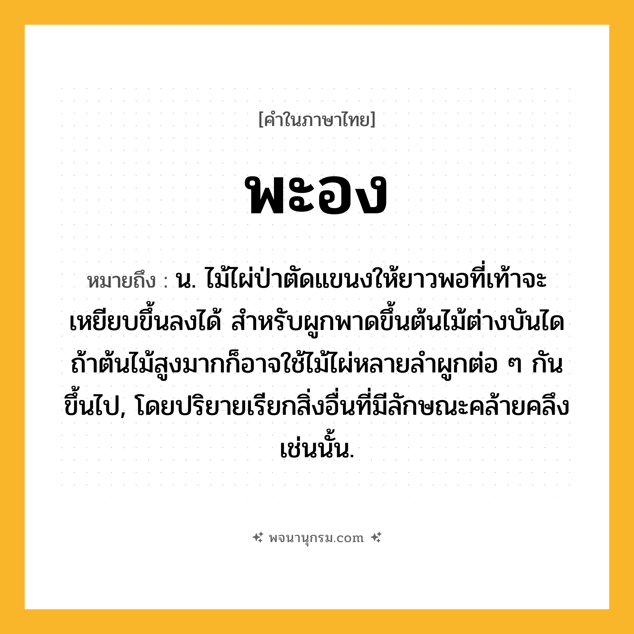 พะอง ความหมาย หมายถึงอะไร?, คำในภาษาไทย พะอง หมายถึง น. ไม้ไผ่ป่าตัดแขนงให้ยาวพอที่เท้าจะเหยียบขึ้นลงได้ สำหรับผูกพาดขึ้นต้นไม้ต่างบันได ถ้าต้นไม้สูงมากก็อาจใช้ไม้ไผ่หลายลำผูกต่อ ๆ กันขึ้นไป, โดยปริยายเรียกสิ่งอื่นที่มีลักษณะคล้ายคลึงเช่นนั้น.