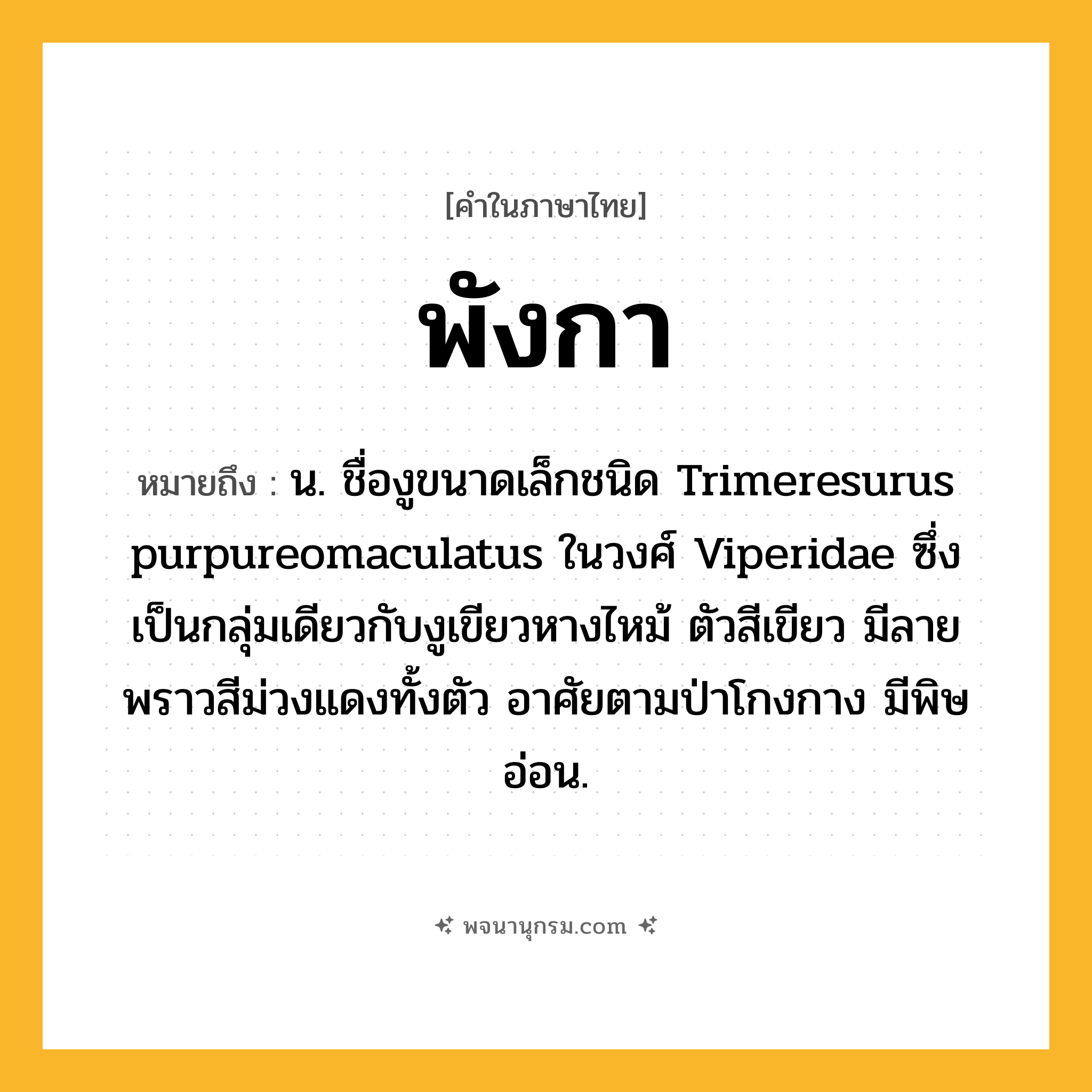 พังกา ความหมาย หมายถึงอะไร?, คำในภาษาไทย พังกา หมายถึง น. ชื่องูขนาดเล็กชนิด Trimeresurus purpureomaculatus ในวงศ์ Viperidae ซึ่งเป็นกลุ่มเดียวกับงูเขียวหางไหม้ ตัวสีเขียว มีลายพราวสีม่วงแดงทั้งตัว อาศัยตามป่าโกงกาง มีพิษอ่อน.