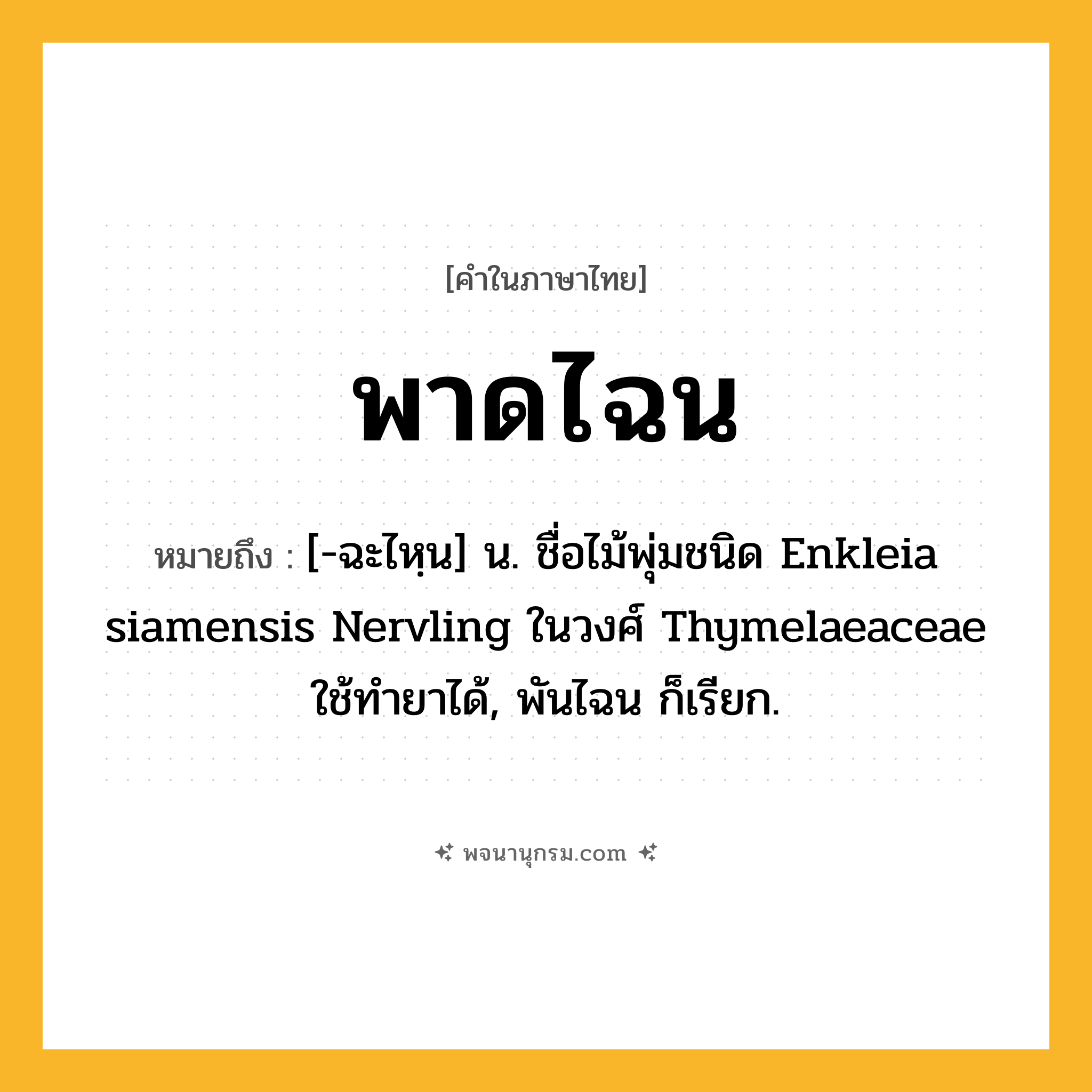 พาดไฉน ความหมาย หมายถึงอะไร?, คำในภาษาไทย พาดไฉน หมายถึง [-ฉะไหฺน] น. ชื่อไม้พุ่มชนิด Enkleia siamensis Nervling ในวงศ์ Thymelaeaceae ใช้ทํายาได้, พันไฉน ก็เรียก.