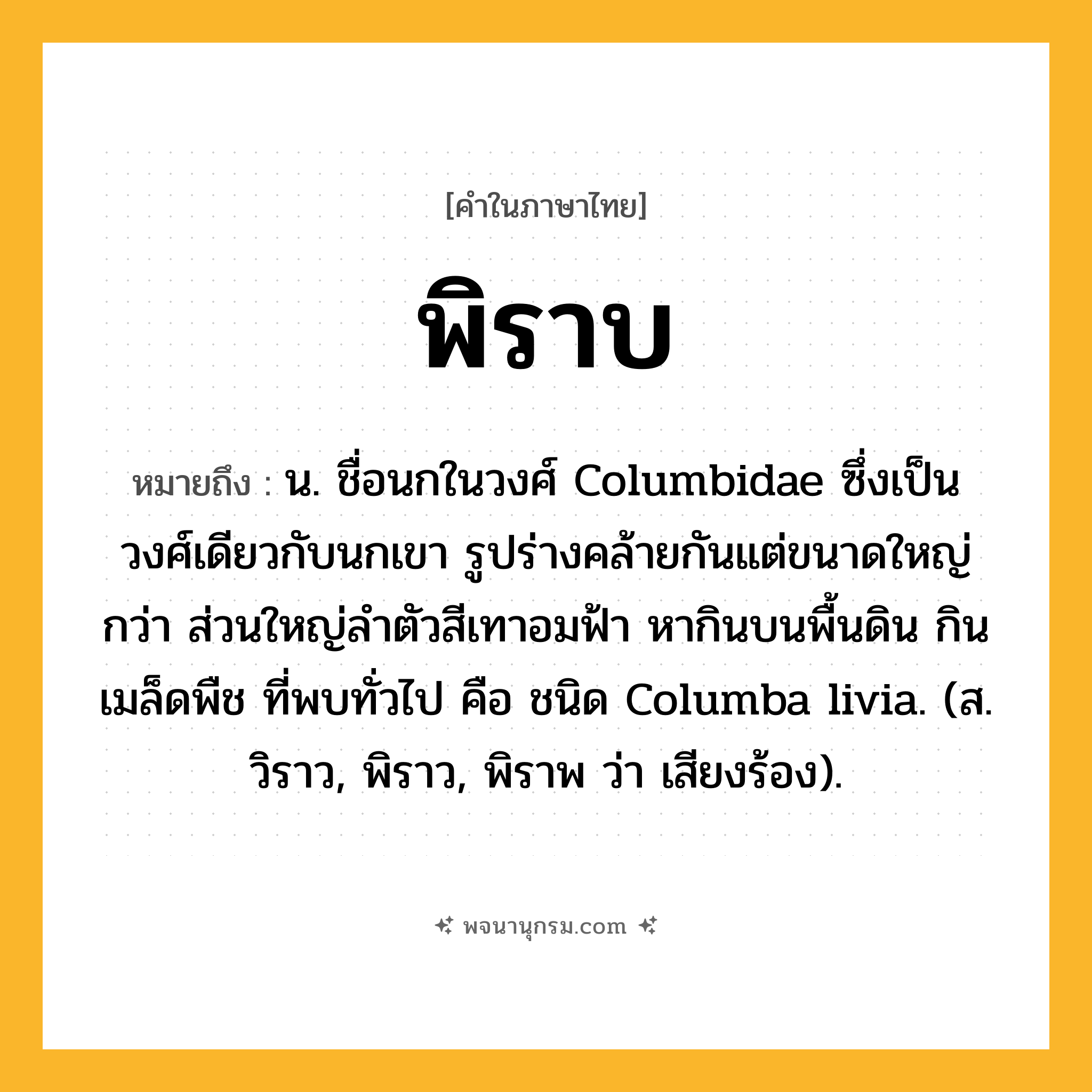 พิราบ ความหมาย หมายถึงอะไร?, คำในภาษาไทย พิราบ หมายถึง น. ชื่อนกในวงศ์ Columbidae ซึ่งเป็นวงศ์เดียวกับนกเขา รูปร่างคล้ายกันแต่ขนาดใหญ่กว่า ส่วนใหญ่ลําตัวสีเทาอมฟ้า หากินบนพื้นดิน กินเมล็ดพืช ที่พบทั่วไป คือ ชนิด Columba livia. (ส. วิราว, พิราว, พิราพ ว่า เสียงร้อง).