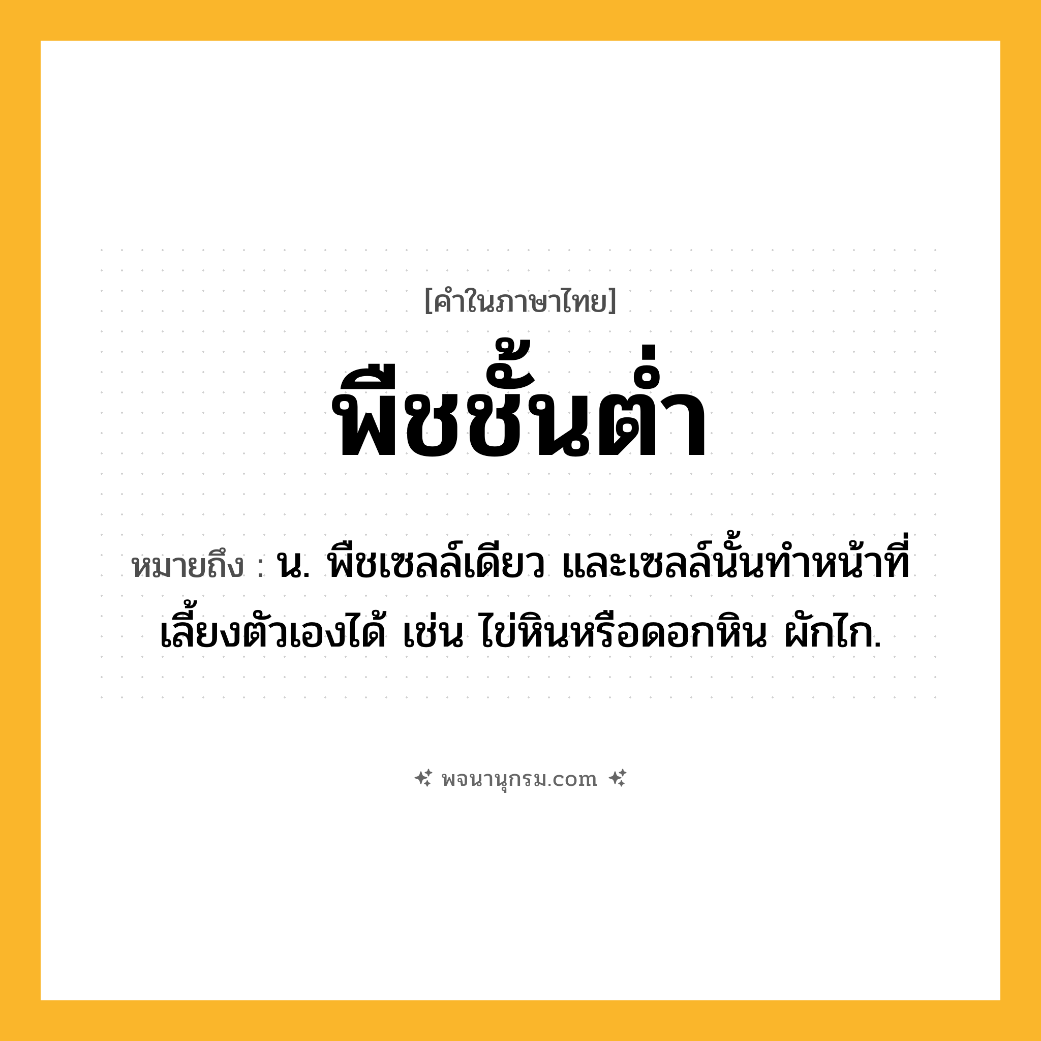 พืชชั้นต่ำ ความหมาย หมายถึงอะไร?, คำในภาษาไทย พืชชั้นต่ำ หมายถึง น. พืชเซลล์เดียว และเซลล์นั้นทําหน้าที่เลี้ยงตัวเองได้ เช่น ไข่หินหรือดอกหิน ผักไก.