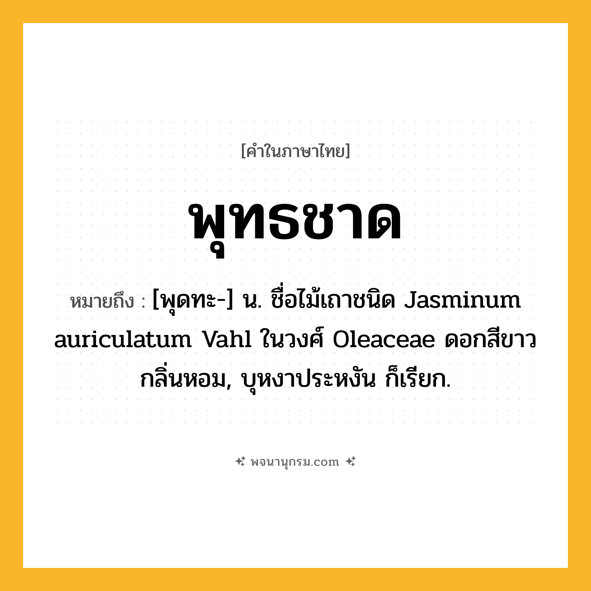 พุทธชาด ความหมาย หมายถึงอะไร?, คำในภาษาไทย พุทธชาด หมายถึง [พุดทะ-] น. ชื่อไม้เถาชนิด Jasminum auriculatum Vahl ในวงศ์ Oleaceae ดอกสีขาวกลิ่นหอม, บุหงาประหงัน ก็เรียก.