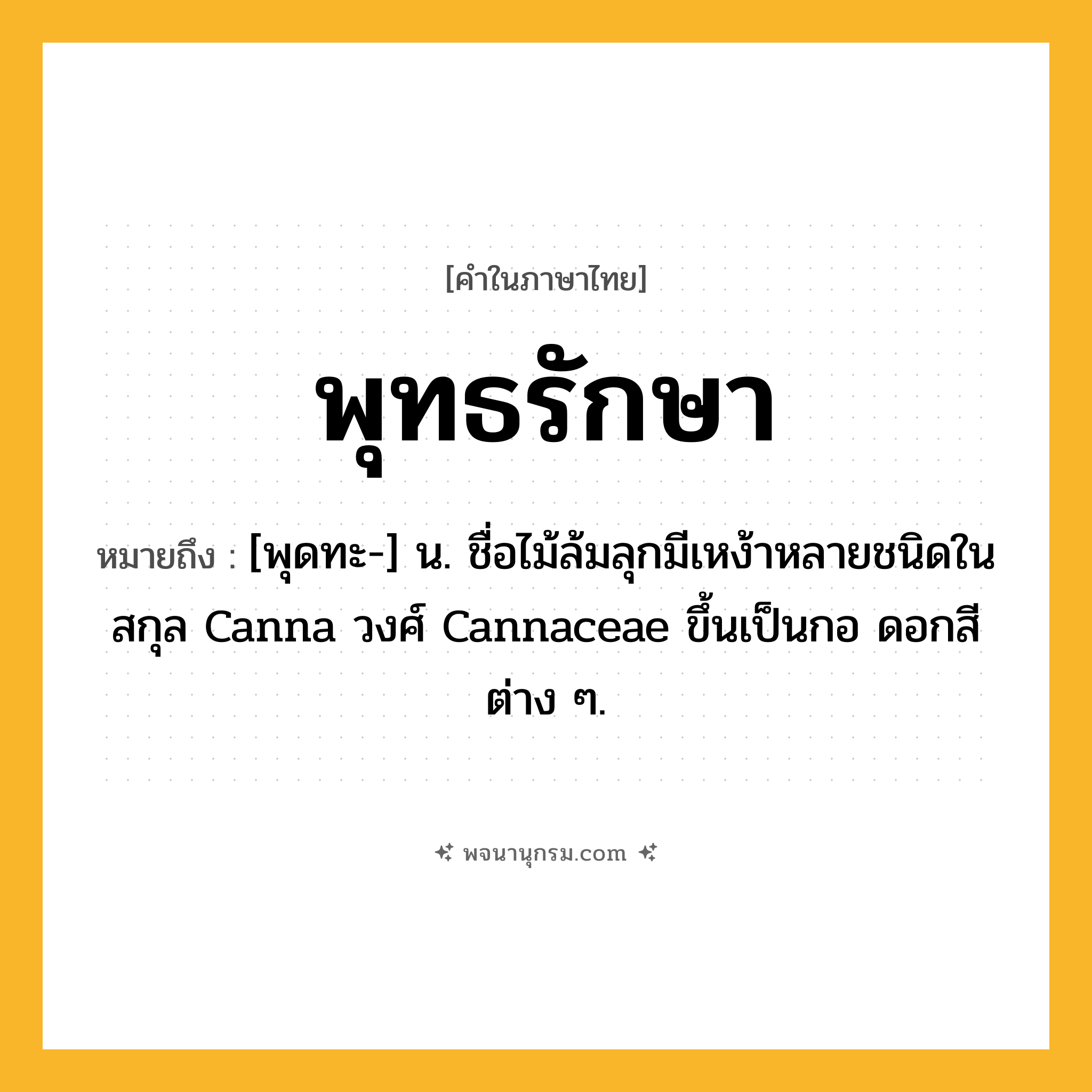 พุทธรักษา ความหมาย หมายถึงอะไร?, คำในภาษาไทย พุทธรักษา หมายถึง [พุดทะ-] น. ชื่อไม้ล้มลุกมีเหง้าหลายชนิดในสกุล Canna วงศ์ Cannaceae ขึ้นเป็นกอ ดอกสีต่าง ๆ.