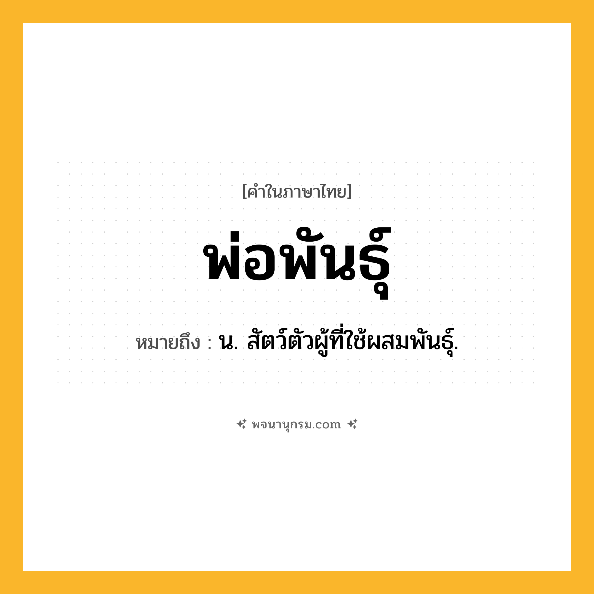 พ่อพันธุ์ ความหมาย หมายถึงอะไร?, คำในภาษาไทย พ่อพันธุ์ หมายถึง น. สัตว์ตัวผู้ที่ใช้ผสมพันธุ์.