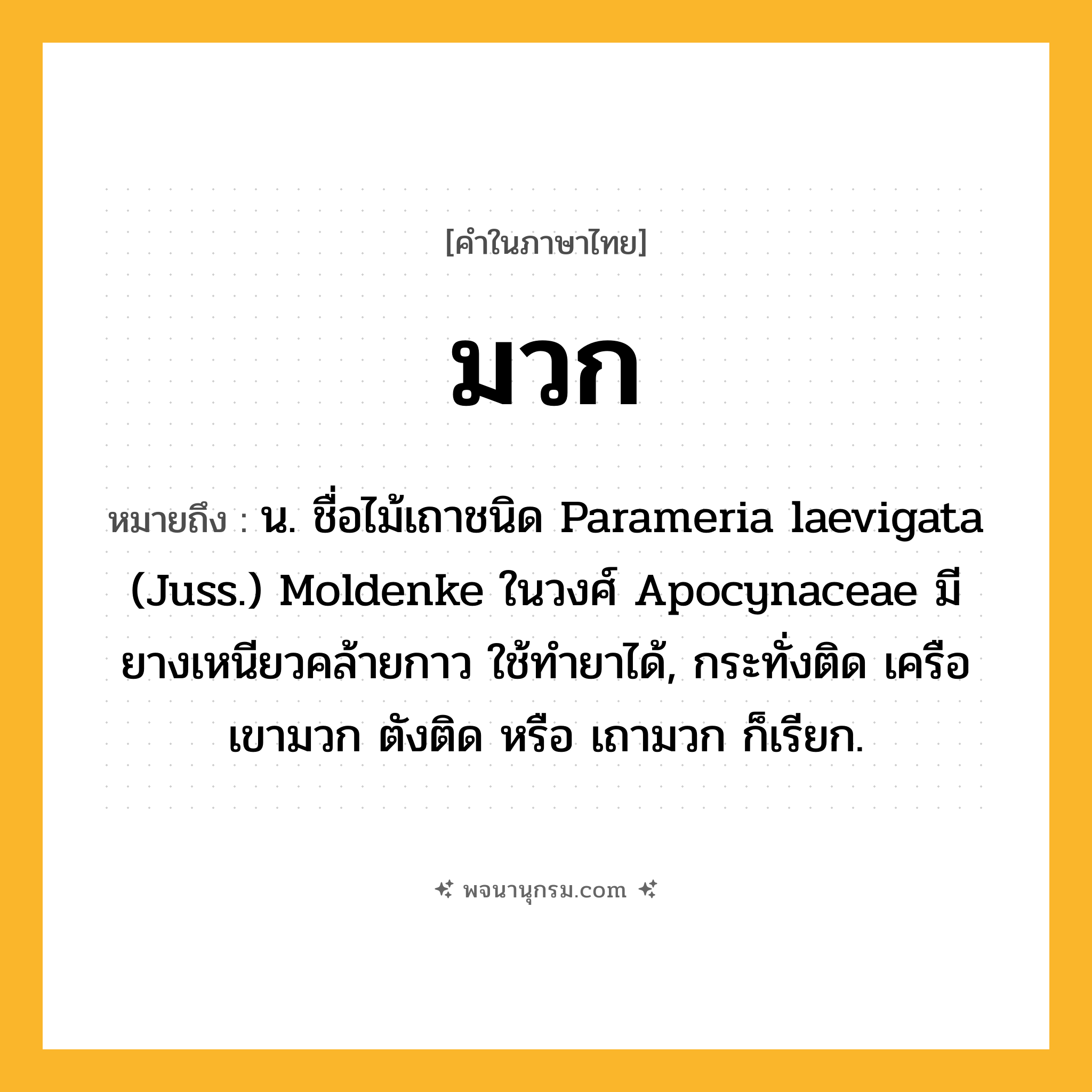 มวก ความหมาย หมายถึงอะไร?, คำในภาษาไทย มวก หมายถึง น. ชื่อไม้เถาชนิด Parameria laevigata (Juss.) Moldenke ในวงศ์ Apocynaceae มียางเหนียวคล้ายกาว ใช้ทํายาได้, กระทั่งติด เครือเขามวก ตังติด หรือ เถามวก ก็เรียก.