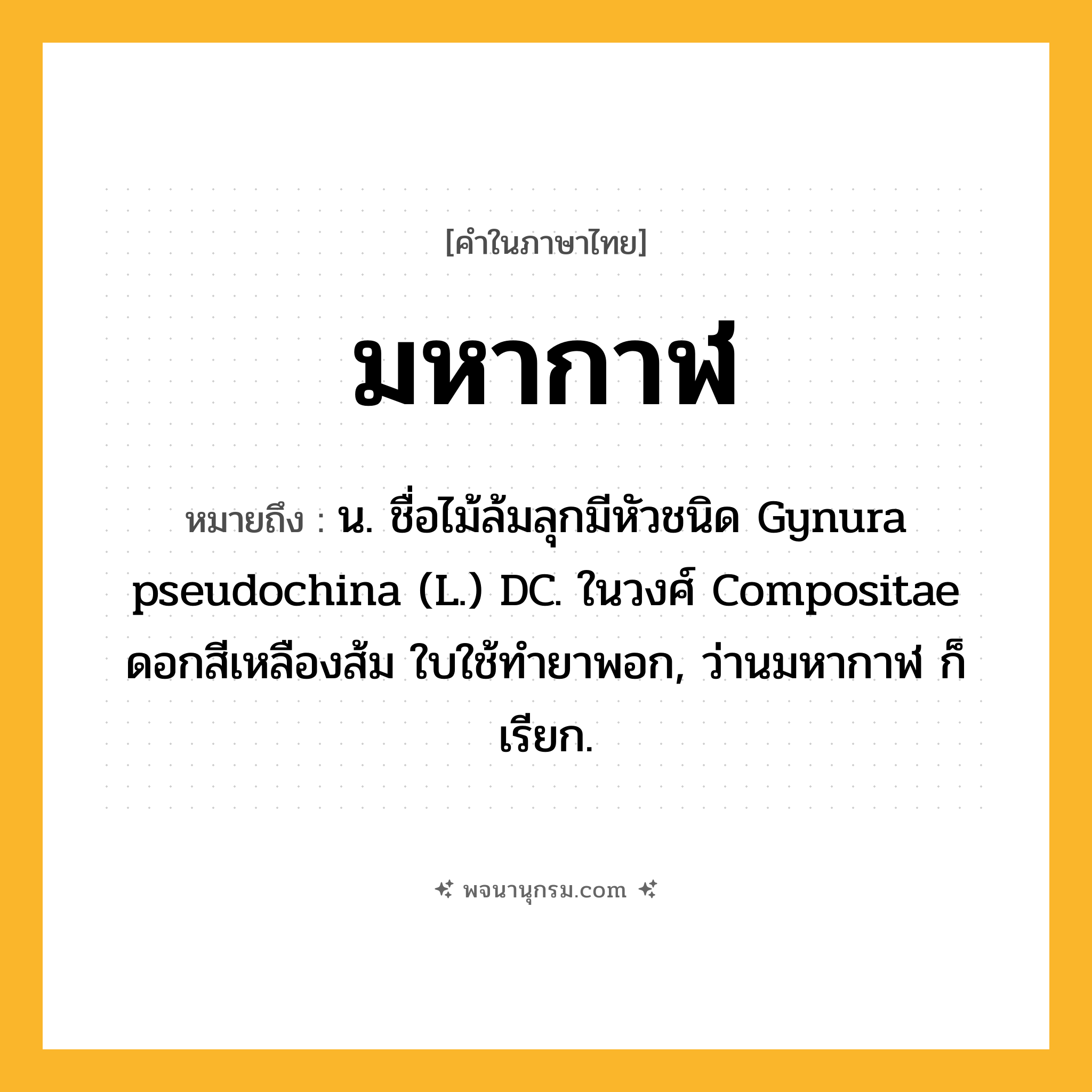 มหากาฬ ความหมาย หมายถึงอะไร?, คำในภาษาไทย มหากาฬ หมายถึง น. ชื่อไม้ล้มลุกมีหัวชนิด Gynura pseudochina (L.) DC. ในวงศ์ Compositae ดอกสีเหลืองส้ม ใบใช้ทํายาพอก, ว่านมหากาฬ ก็เรียก.