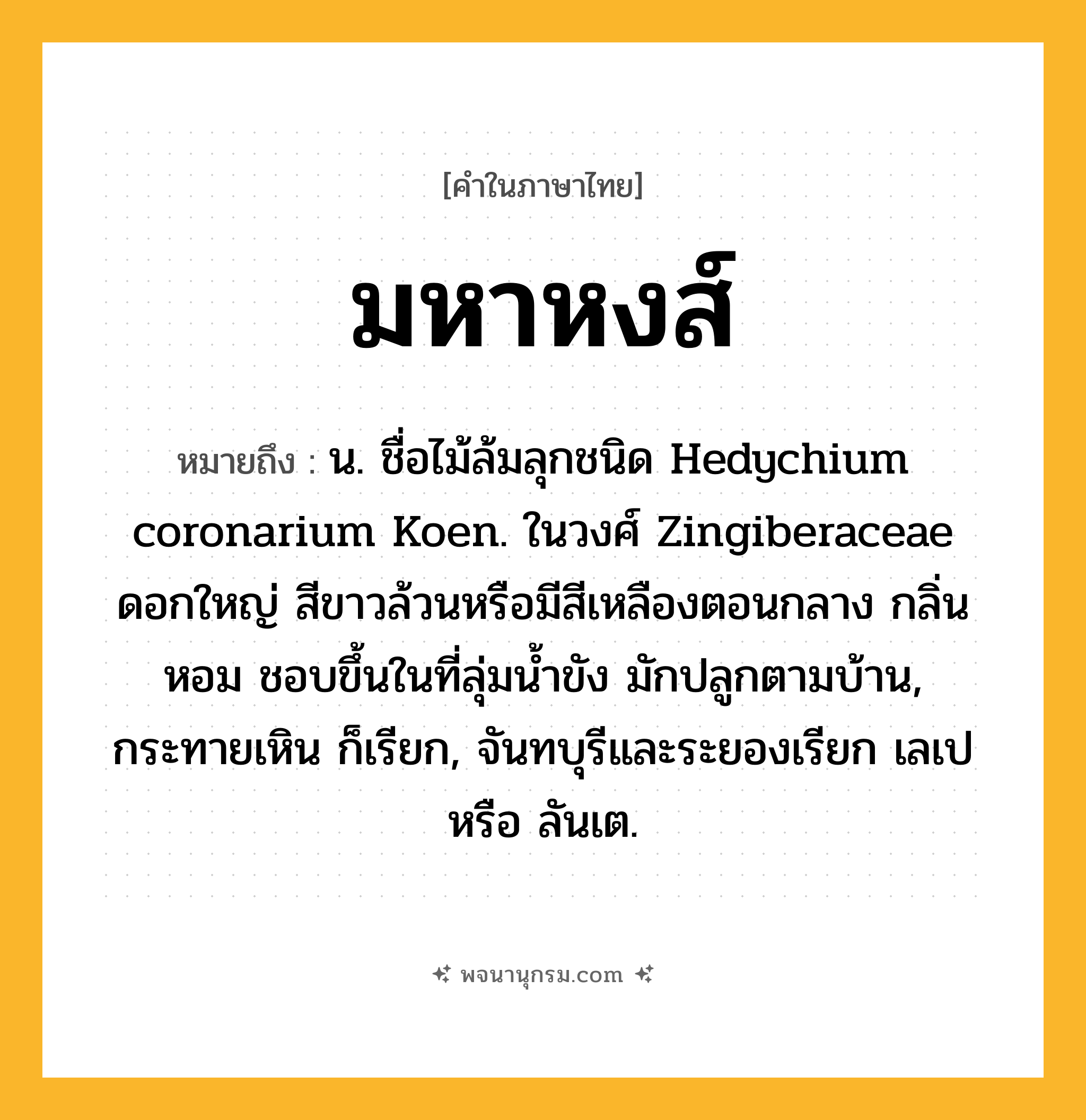 มหาหงส์ ความหมาย หมายถึงอะไร?, คำในภาษาไทย มหาหงส์ หมายถึง น. ชื่อไม้ล้มลุกชนิด Hedychium coronarium Koen. ในวงศ์ Zingiberaceae ดอกใหญ่ สีขาวล้วนหรือมีสีเหลืองตอนกลาง กลิ่นหอม ชอบขึ้นในที่ลุ่มนํ้าขัง มักปลูกตามบ้าน, กระทายเหิน ก็เรียก, จันทบุรีและระยองเรียก เลเป หรือ ลันเต.