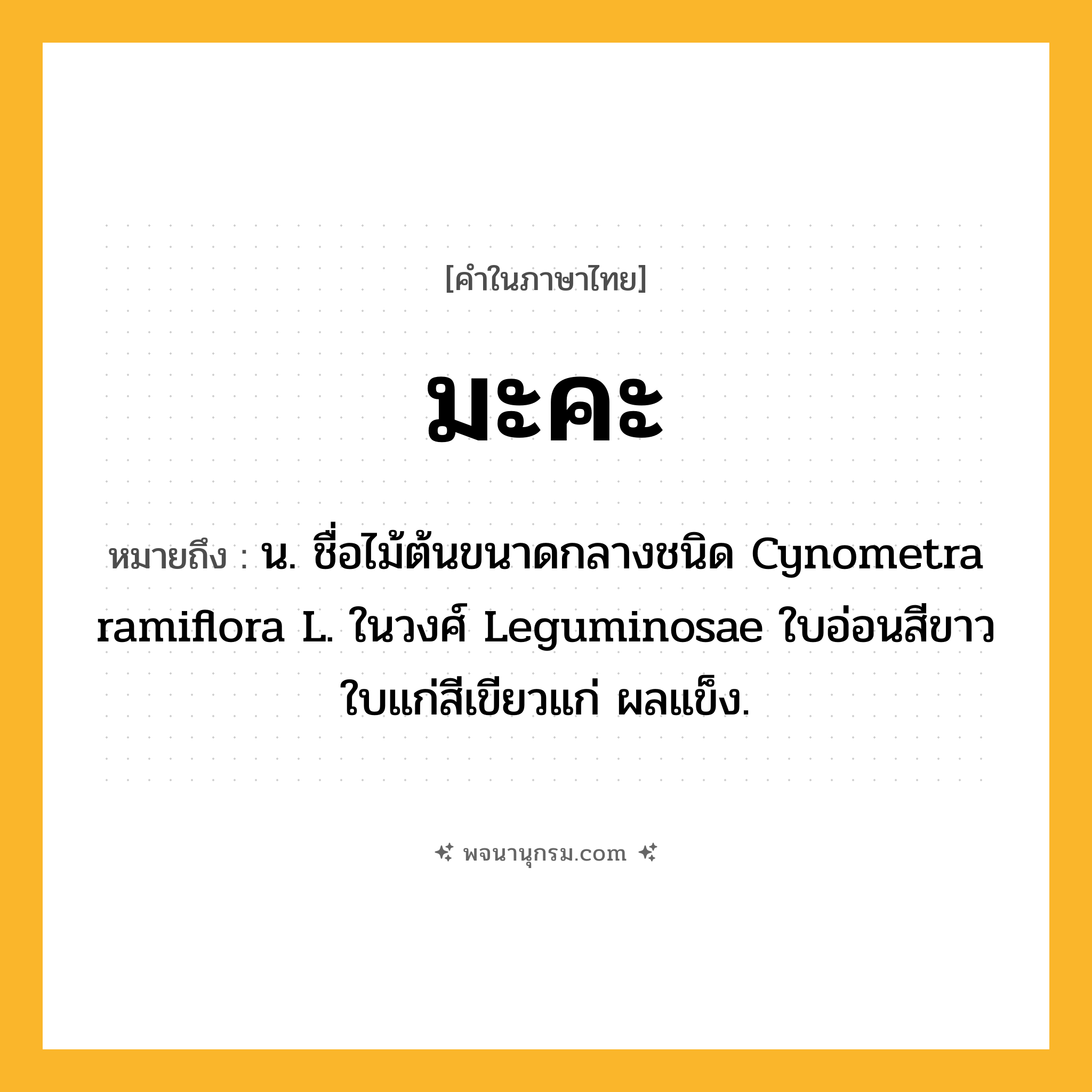 มะคะ ความหมาย หมายถึงอะไร?, คำในภาษาไทย มะคะ หมายถึง น. ชื่อไม้ต้นขนาดกลางชนิด Cynometra ramiflora L. ในวงศ์ Leguminosae ใบอ่อนสีขาว ใบแก่สีเขียวแก่ ผลแข็ง.