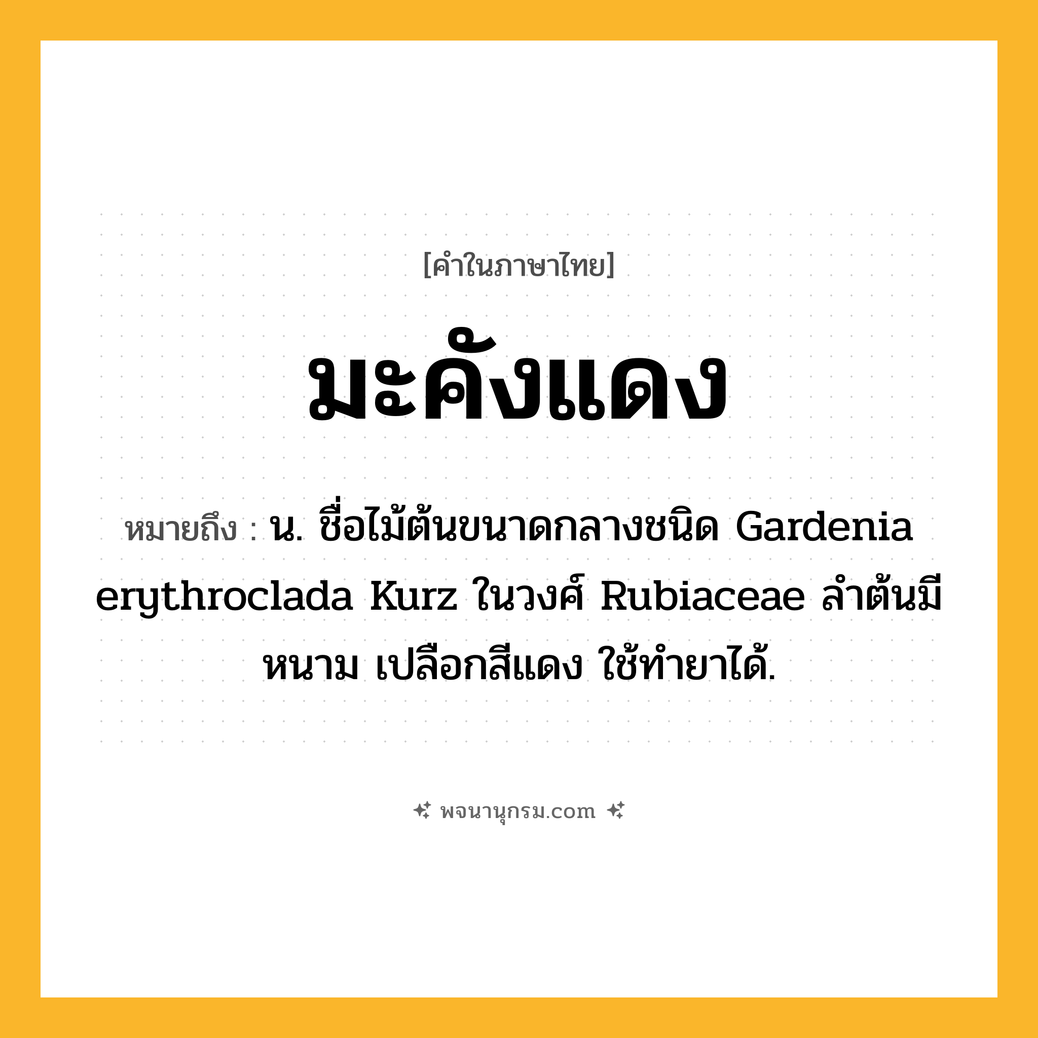 มะคังแดง ความหมาย หมายถึงอะไร?, คำในภาษาไทย มะคังแดง หมายถึง น. ชื่อไม้ต้นขนาดกลางชนิด Gardenia erythroclada Kurz ในวงศ์ Rubiaceae ลําต้นมีหนาม เปลือกสีแดง ใช้ทํายาได้.