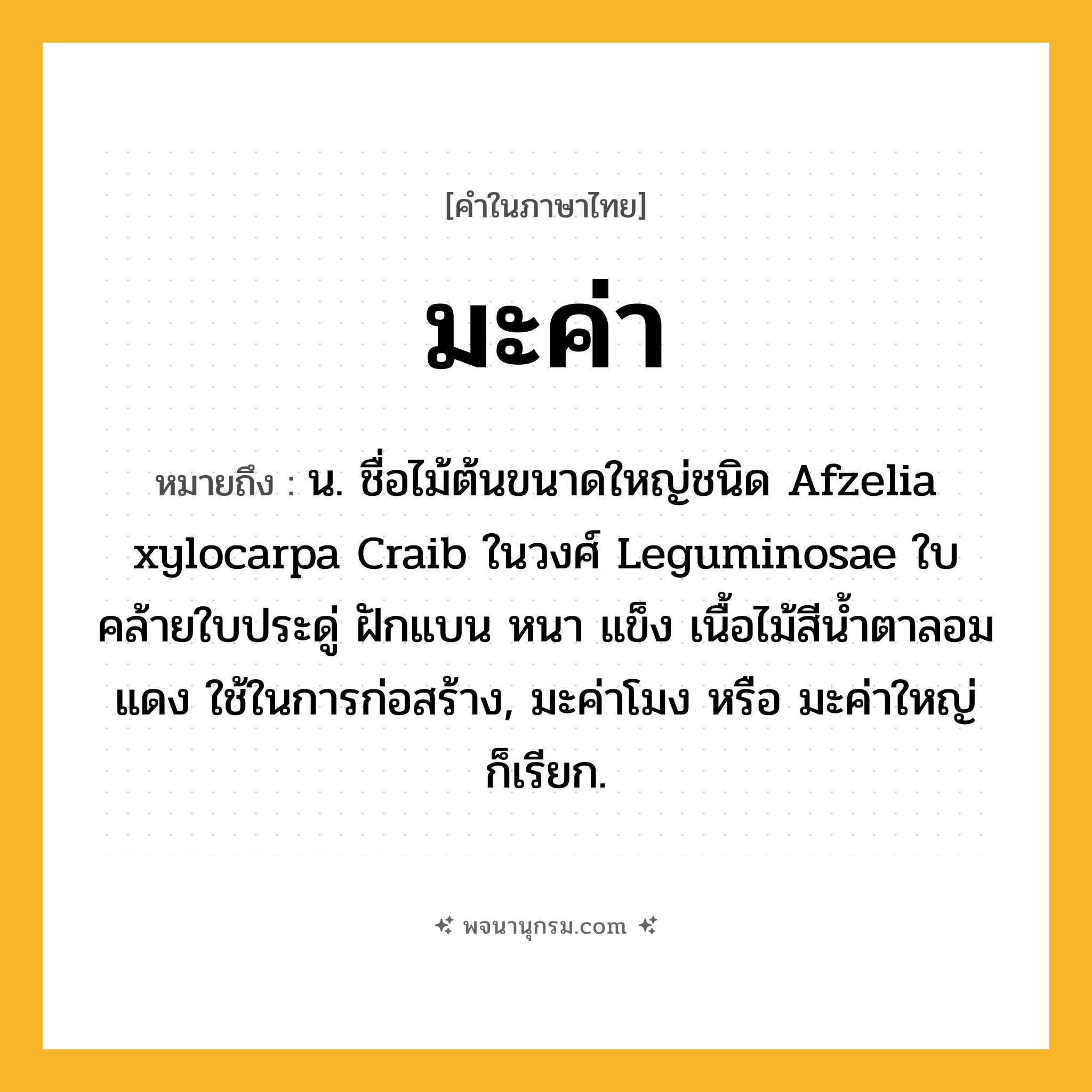 มะค่า ความหมาย หมายถึงอะไร?, คำในภาษาไทย มะค่า หมายถึง น. ชื่อไม้ต้นขนาดใหญ่ชนิด Afzelia xylocarpa Craib ในวงศ์ Leguminosae ใบคล้ายใบประดู่ ฝักแบน หนา แข็ง เนื้อไม้สีนํ้าตาลอมแดง ใช้ในการก่อสร้าง, มะค่าโมง หรือ มะค่าใหญ่ ก็เรียก.