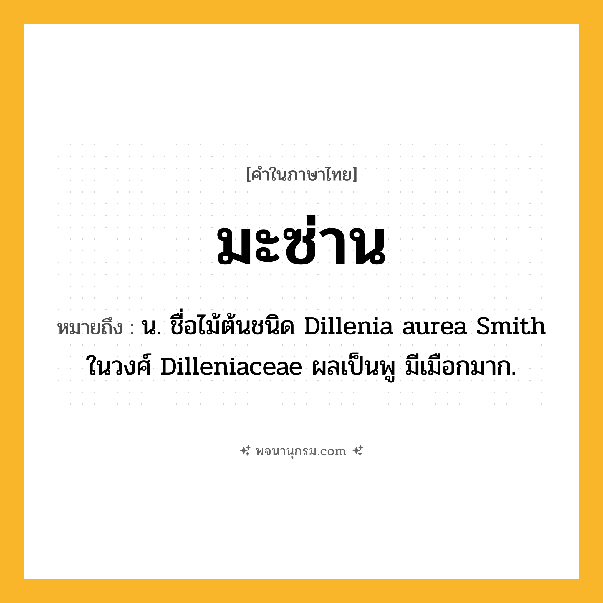 มะซ่าน ความหมาย หมายถึงอะไร?, คำในภาษาไทย มะซ่าน หมายถึง น. ชื่อไม้ต้นชนิด Dillenia aurea Smith ในวงศ์ Dilleniaceae ผลเป็นพู มีเมือกมาก.