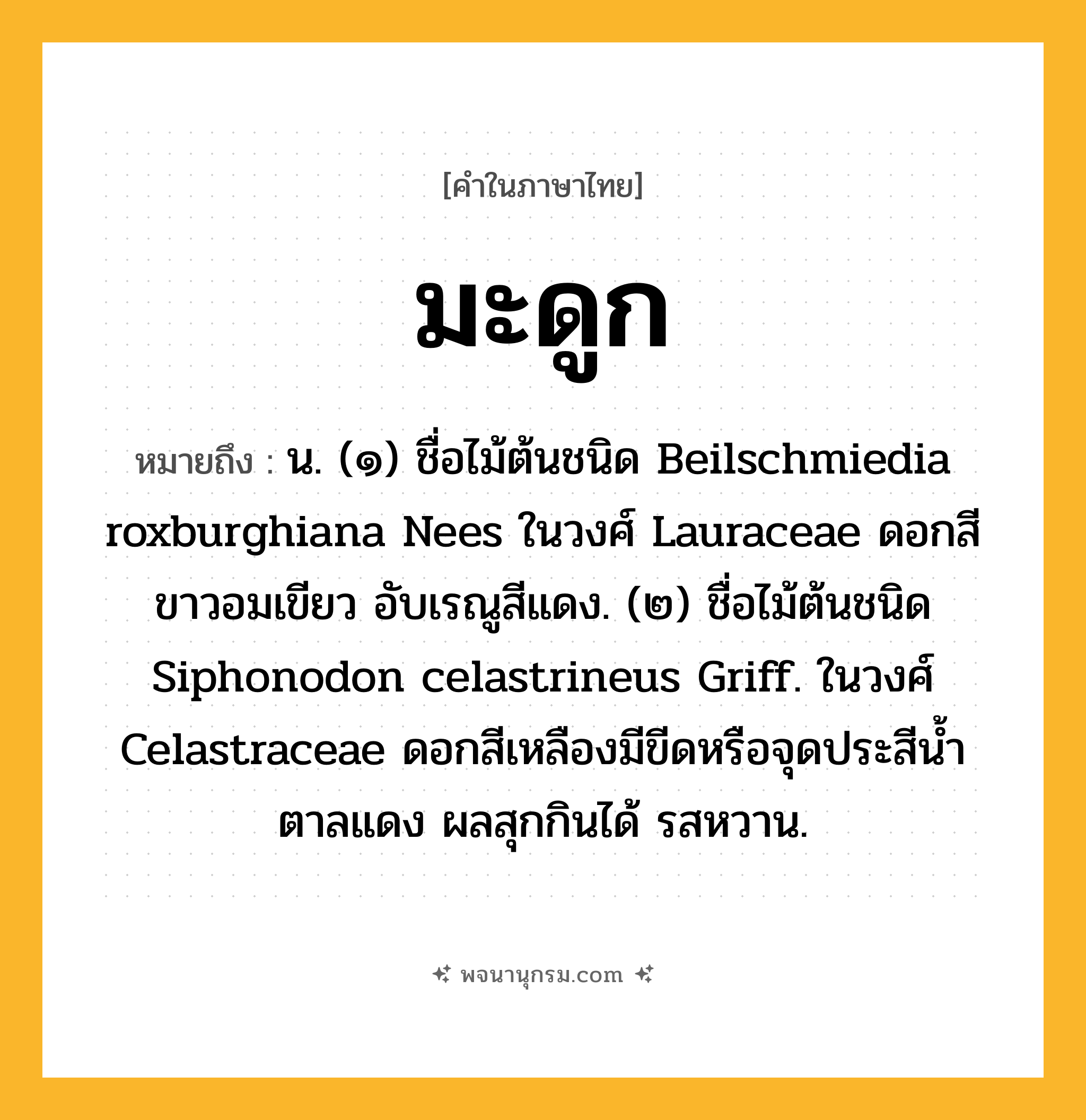 มะดูก ความหมาย หมายถึงอะไร?, คำในภาษาไทย มะดูก หมายถึง น. (๑) ชื่อไม้ต้นชนิด Beilschmiedia roxburghiana Nees ในวงศ์ Lauraceae ดอกสีขาวอมเขียว อับเรณูสีแดง. (๒) ชื่อไม้ต้นชนิด Siphonodon celastrineus Griff. ในวงศ์ Celastraceae ดอกสีเหลืองมีขีดหรือจุดประสีนํ้าตาลแดง ผลสุกกินได้ รสหวาน.