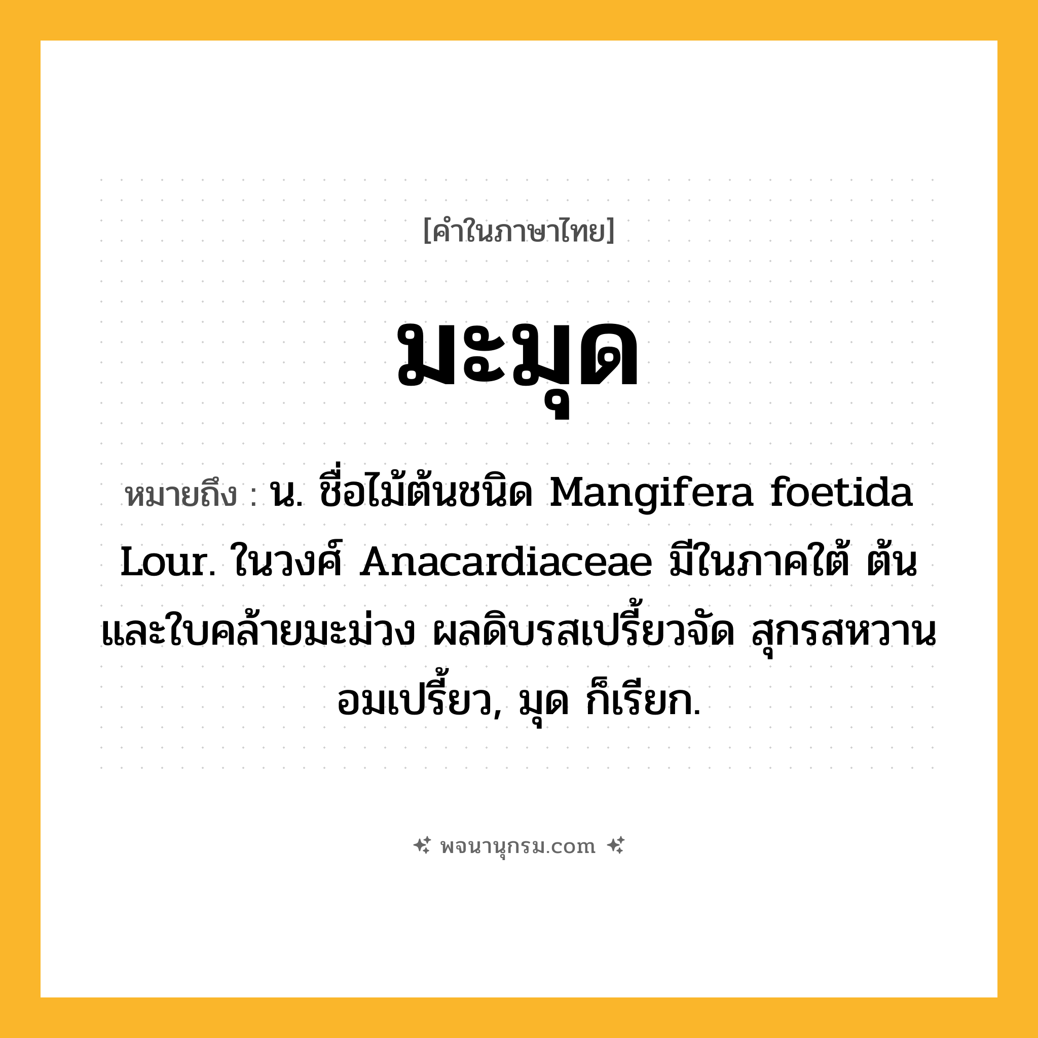 มะมุด ความหมาย หมายถึงอะไร?, คำในภาษาไทย มะมุด หมายถึง น. ชื่อไม้ต้นชนิด Mangifera foetida Lour. ในวงศ์ Anacardiaceae มีในภาคใต้ ต้นและใบคล้ายมะม่วง ผลดิบรสเปรี้ยวจัด สุกรสหวานอมเปรี้ยว, มุด ก็เรียก.