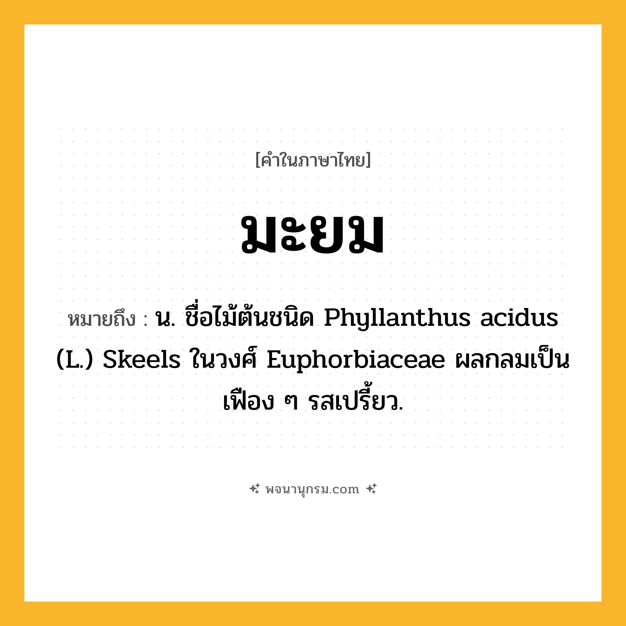 มะยม ความหมาย หมายถึงอะไร?, คำในภาษาไทย มะยม หมายถึง น. ชื่อไม้ต้นชนิด Phyllanthus acidus (L.) Skeels ในวงศ์ Euphorbiaceae ผลกลมเป็นเฟือง ๆ รสเปรี้ยว.