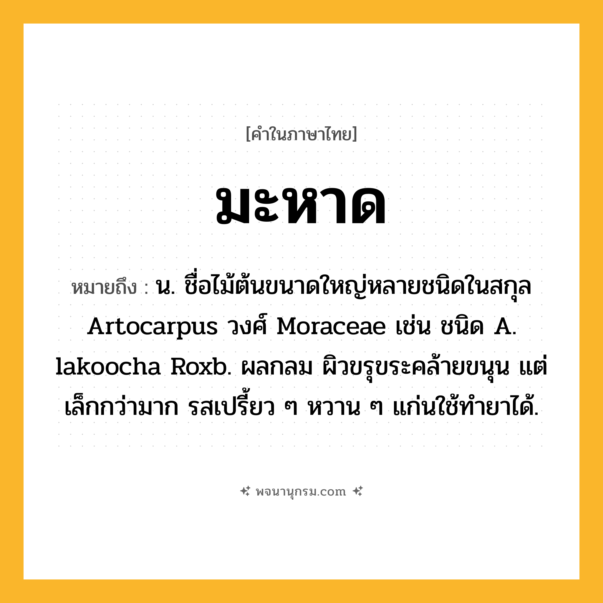 มะหาด ความหมาย หมายถึงอะไร?, คำในภาษาไทย มะหาด หมายถึง น. ชื่อไม้ต้นขนาดใหญ่หลายชนิดในสกุล Artocarpus วงศ์ Moraceae เช่น ชนิด A. lakoocha Roxb. ผลกลม ผิวขรุขระคล้ายขนุน แต่เล็กกว่ามาก รสเปรี้ยว ๆ หวาน ๆ แก่นใช้ทํายาได้.