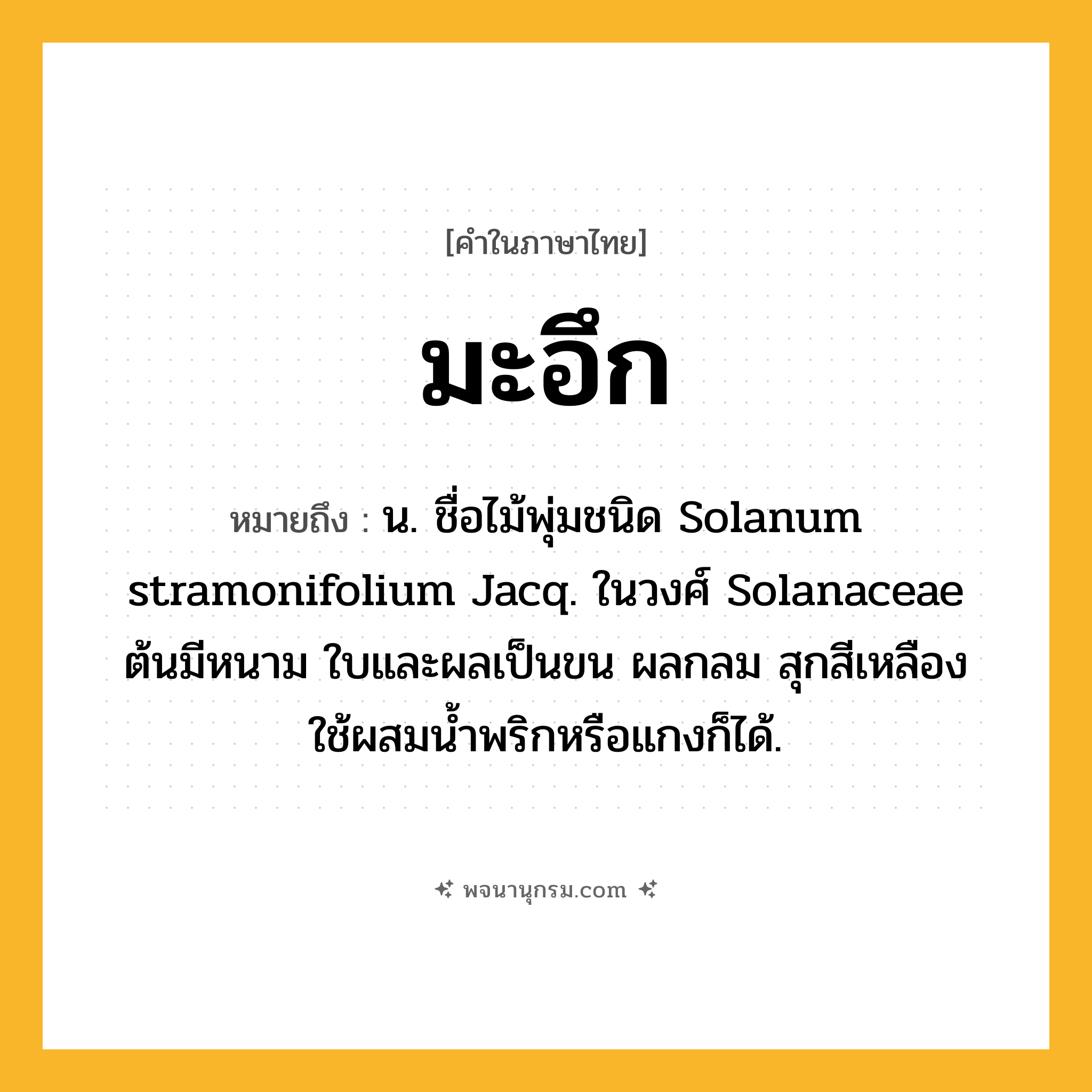 มะอึก ความหมาย หมายถึงอะไร?, คำในภาษาไทย มะอึก หมายถึง น. ชื่อไม้พุ่มชนิด Solanum stramonifolium Jacq. ในวงศ์ Solanaceae ต้นมีหนาม ใบและผลเป็นขน ผลกลม สุกสีเหลือง ใช้ผสมนํ้าพริกหรือแกงก็ได้.