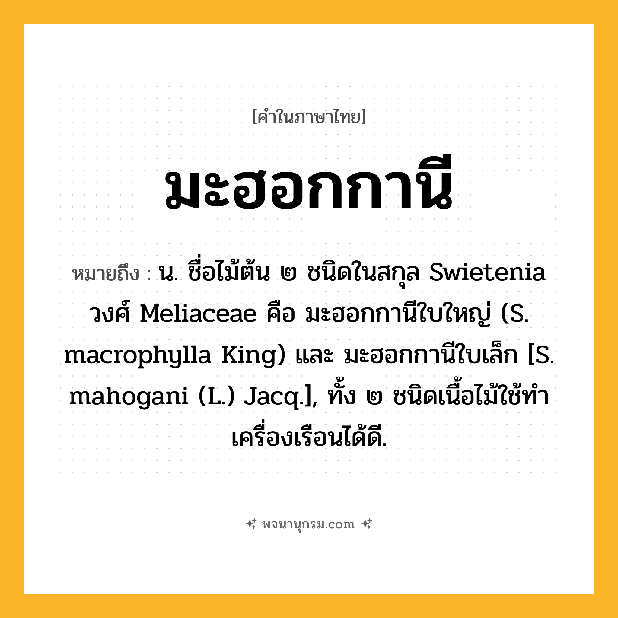 มะฮอกกานี ความหมาย หมายถึงอะไร?, คำในภาษาไทย มะฮอกกานี หมายถึง น. ชื่อไม้ต้น ๒ ชนิดในสกุล Swietenia วงศ์ Meliaceae คือ มะฮอกกานีใบใหญ่ (S. macrophylla King) และ มะฮอกกานีใบเล็ก [S. mahogani (L.) Jacq.], ทั้ง ๒ ชนิดเนื้อไม้ใช้ทําเครื่องเรือนได้ดี.