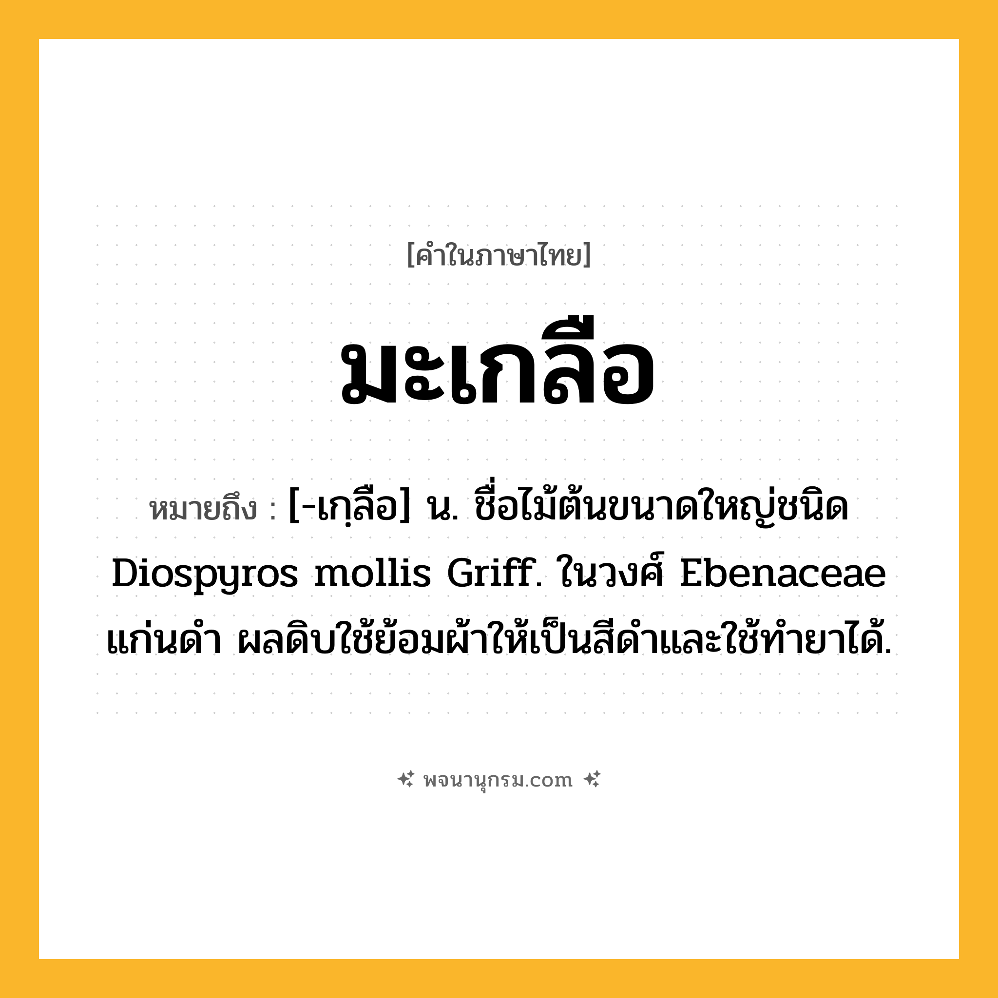 มะเกลือ ความหมาย หมายถึงอะไร?, คำในภาษาไทย มะเกลือ หมายถึง [-เกฺลือ] น. ชื่อไม้ต้นขนาดใหญ่ชนิด Diospyros mollis Griff. ในวงศ์ Ebenaceae แก่นดํา ผลดิบใช้ย้อมผ้าให้เป็นสีดําและใช้ทํายาได้.