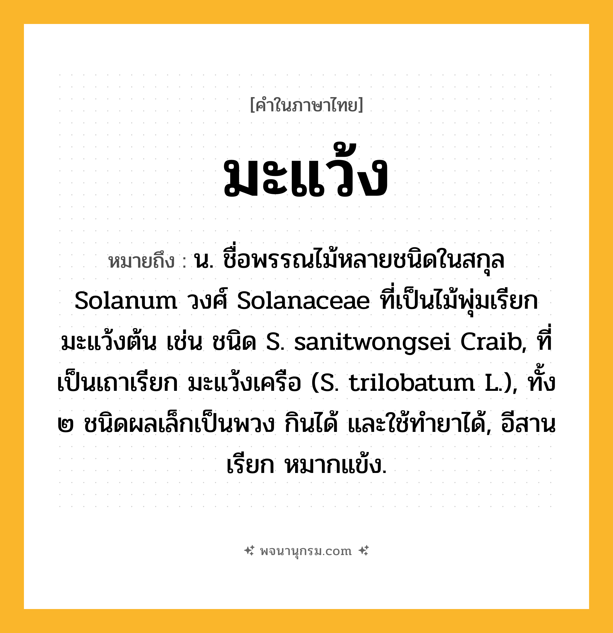 มะแว้ง ความหมาย หมายถึงอะไร?, คำในภาษาไทย มะแว้ง หมายถึง น. ชื่อพรรณไม้หลายชนิดในสกุล Solanum วงศ์ Solanaceae ที่เป็นไม้พุ่มเรียก มะแว้งต้น เช่น ชนิด S. sanitwongsei Craib, ที่เป็นเถาเรียก มะแว้งเครือ (S. trilobatum L.), ทั้ง ๒ ชนิดผลเล็กเป็นพวง กินได้ และใช้ทํายาได้, อีสานเรียก หมากแข้ง.